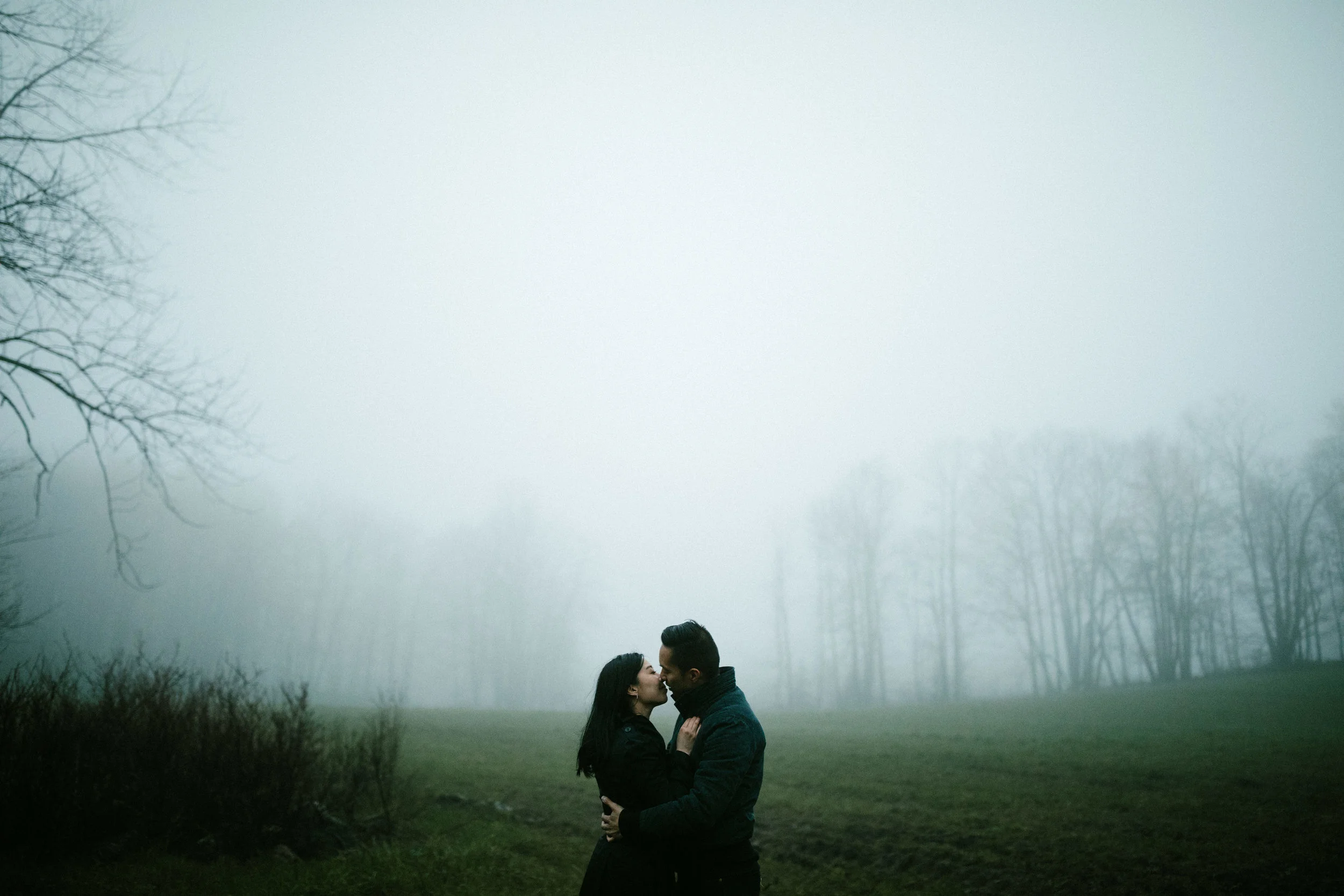 Photo by Frances Beatty