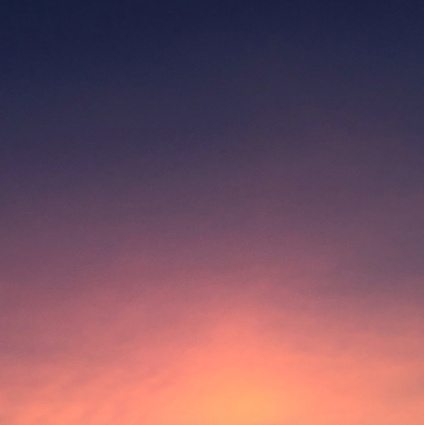 Photograph by Sarah Wine Botta