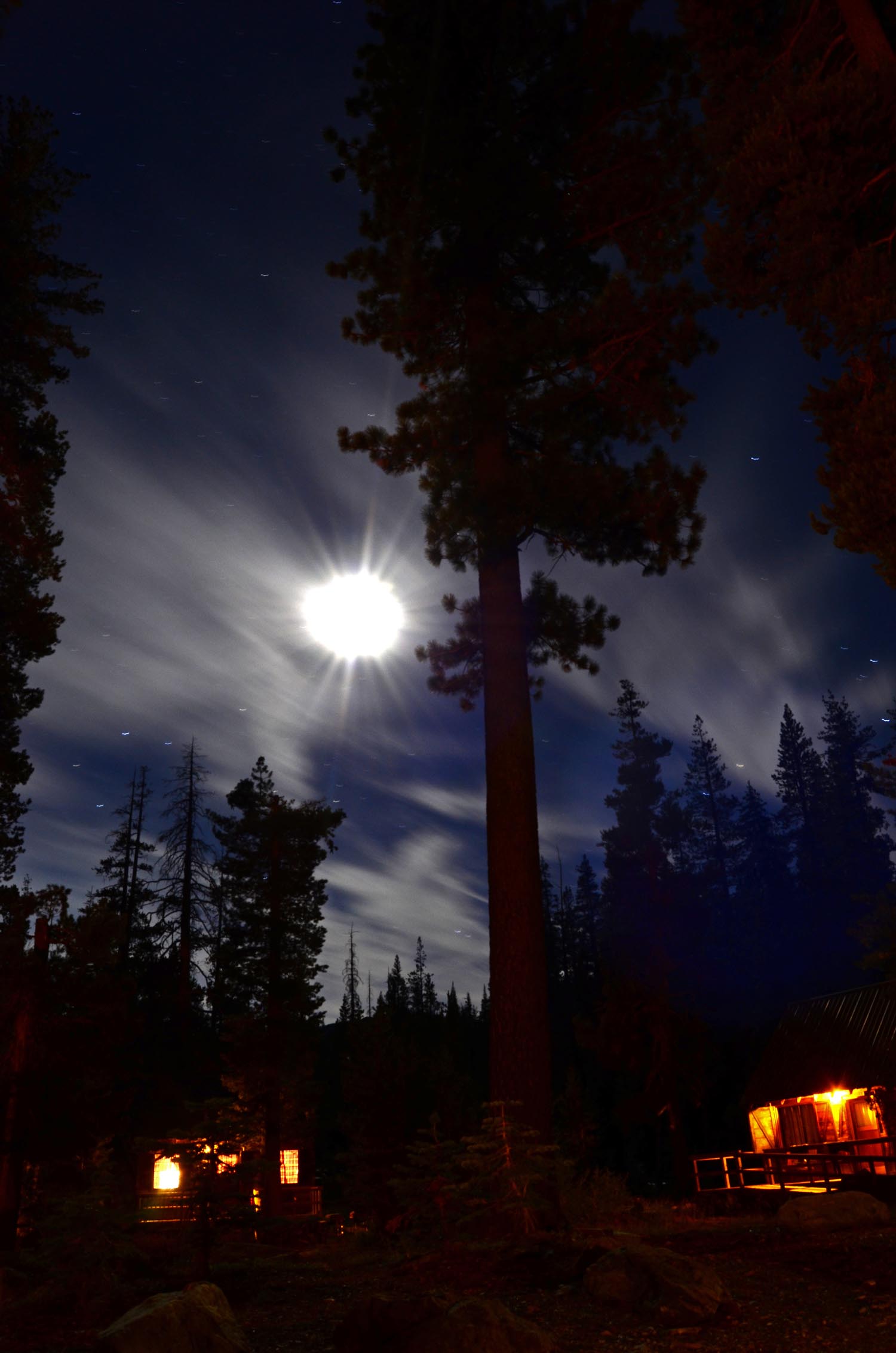 firelight.jpg