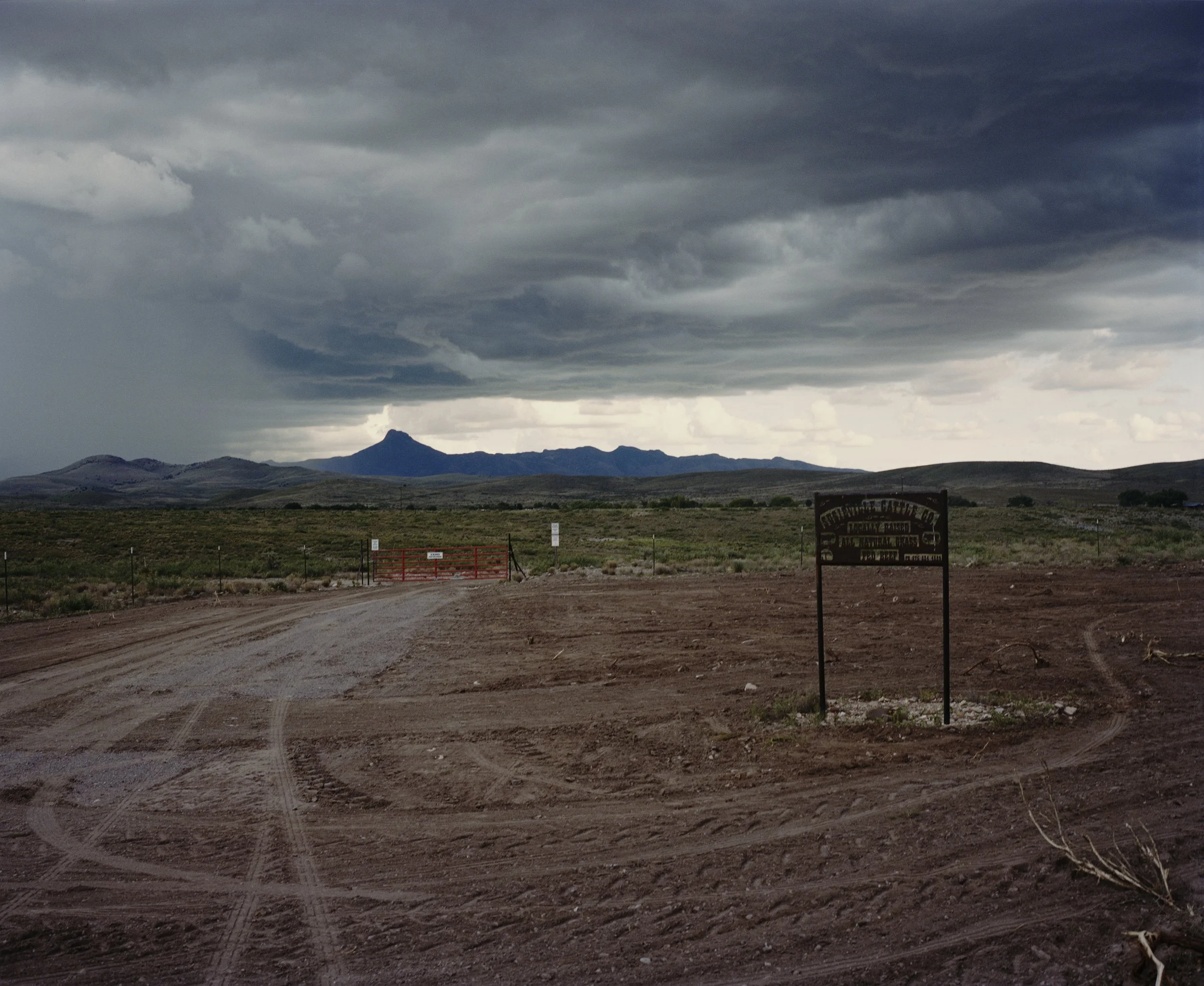 N115_TLA_Scan_012-08 Processed Trial 2.jpg