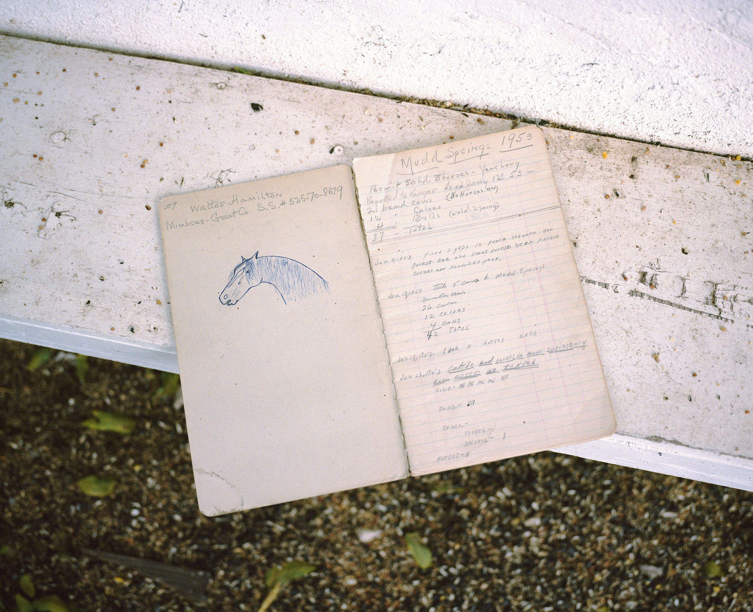 N503_TLA_Scans_06 Processed Cropped For Web.jpg