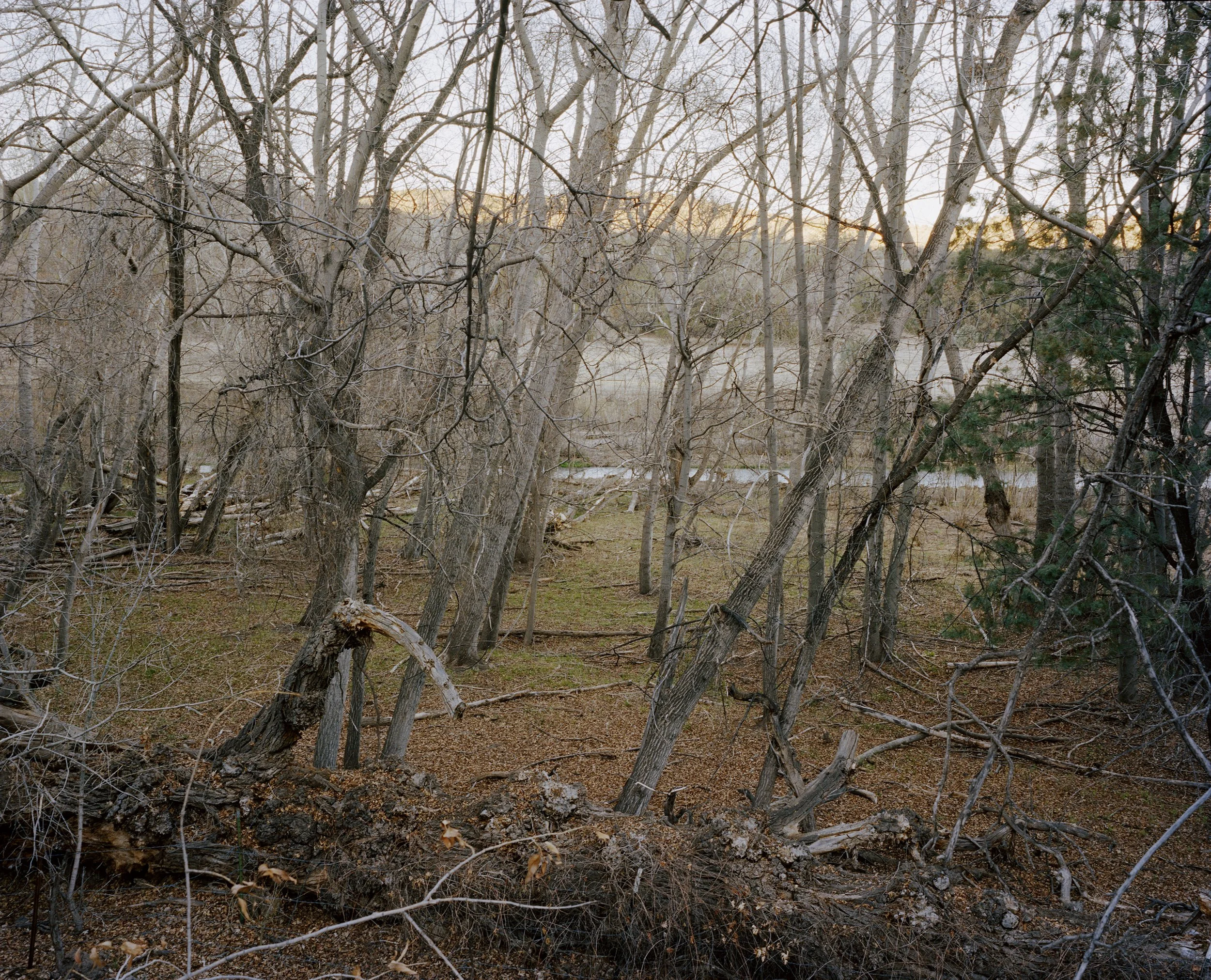 296911-012 Processed For Web.jpg