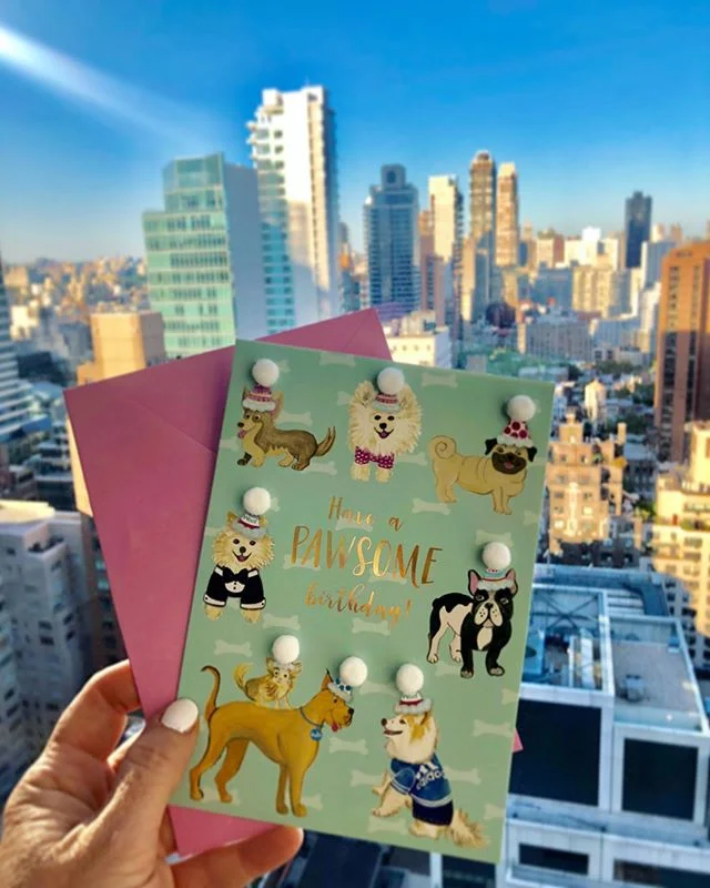 Love how my dog party #greetingcard design looks with these cute pompous! #greetingcarddesign #dogillustration #tjmaxxfinds #homegoodsfinds #dogartwork #doglover🐶 #dogbirthdaycard