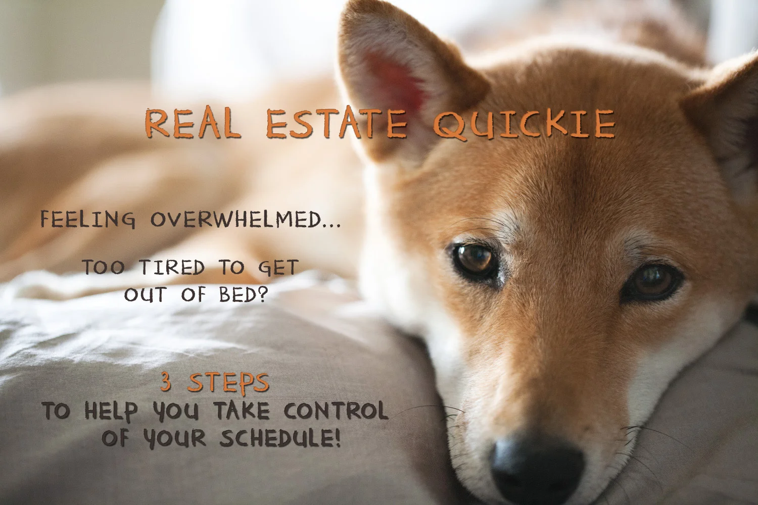 RealEstateQuickie_TakeControlSchedule.jpg