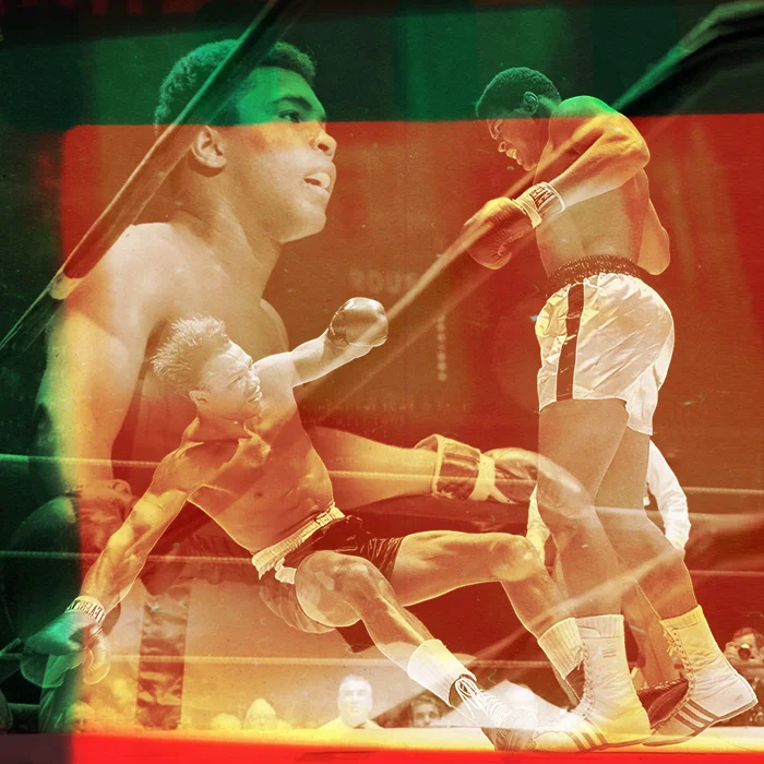 4_boxing_alon_avissar.jpg