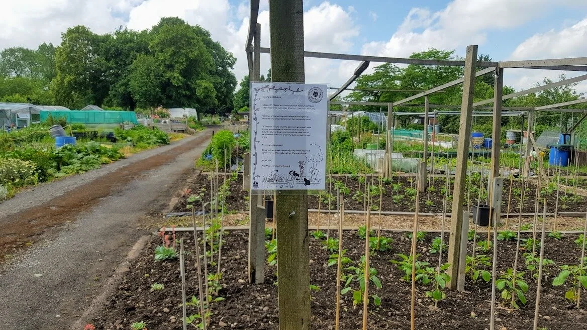 Walsall Road Allotment with project call out poster, image credit - Betty Farruggia