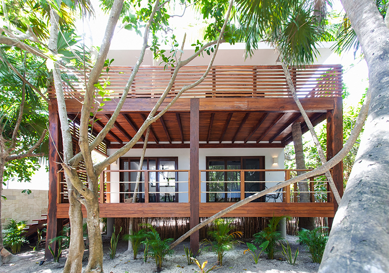 Jungle Suite Exterior.jpg