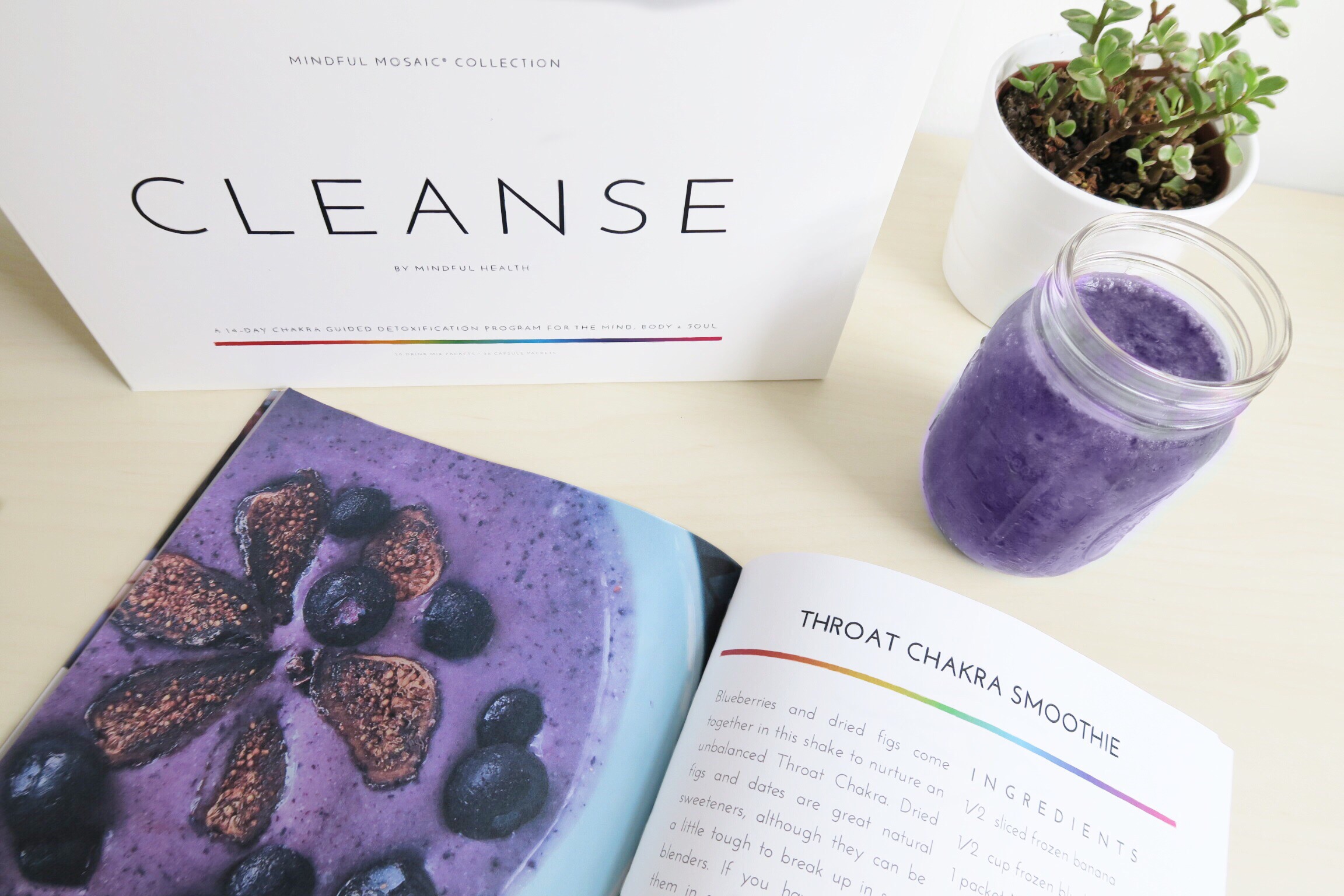 Throat Chakra Cleanse.JPG