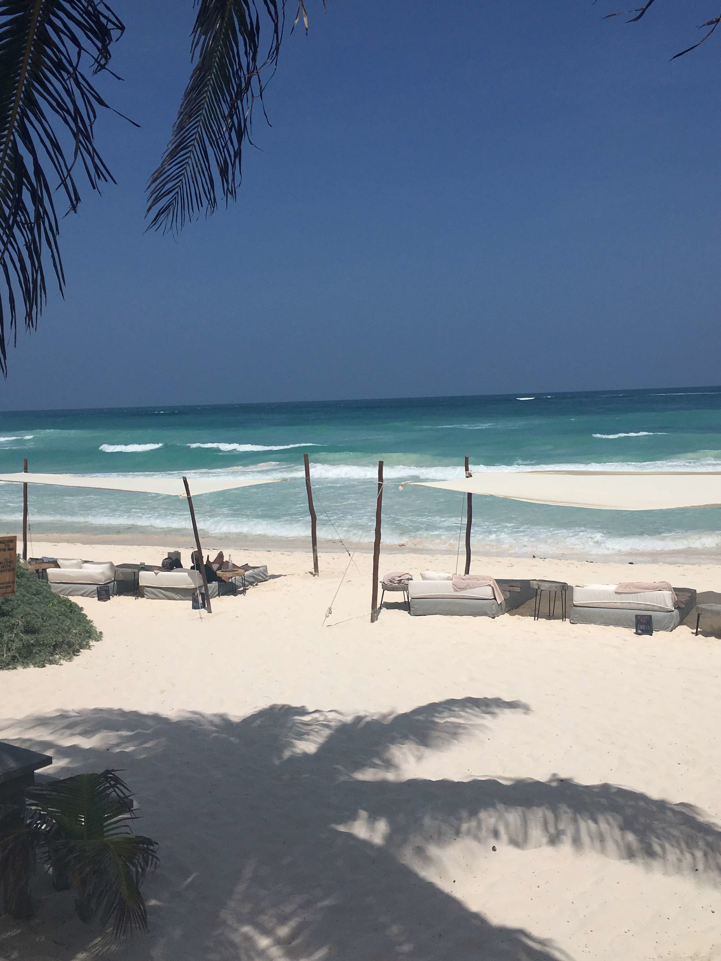 Tulum April 2017 - May 01, 2 20 27 PM-281.jpg