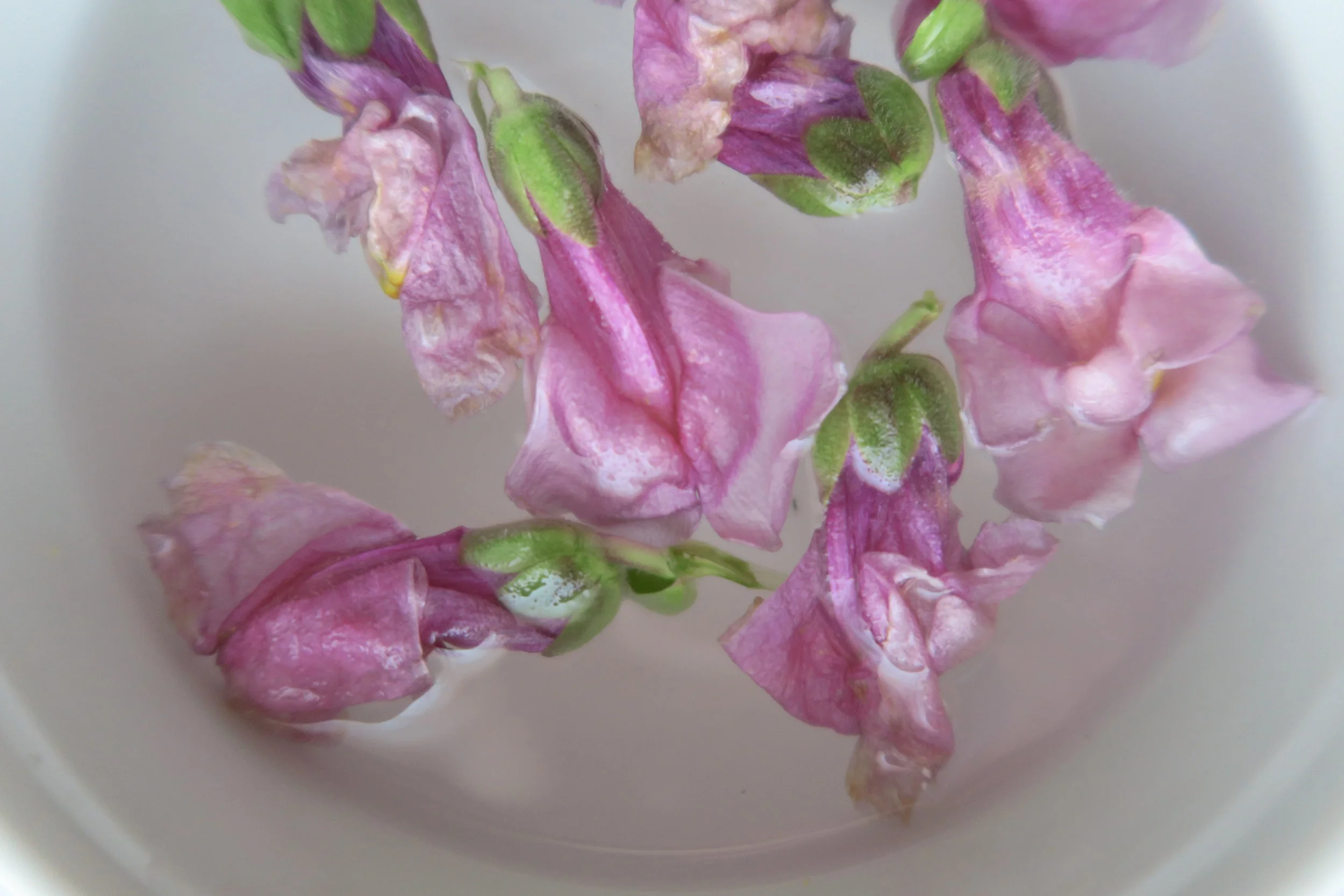 MM COLLECTION FLORAL-30.jpg