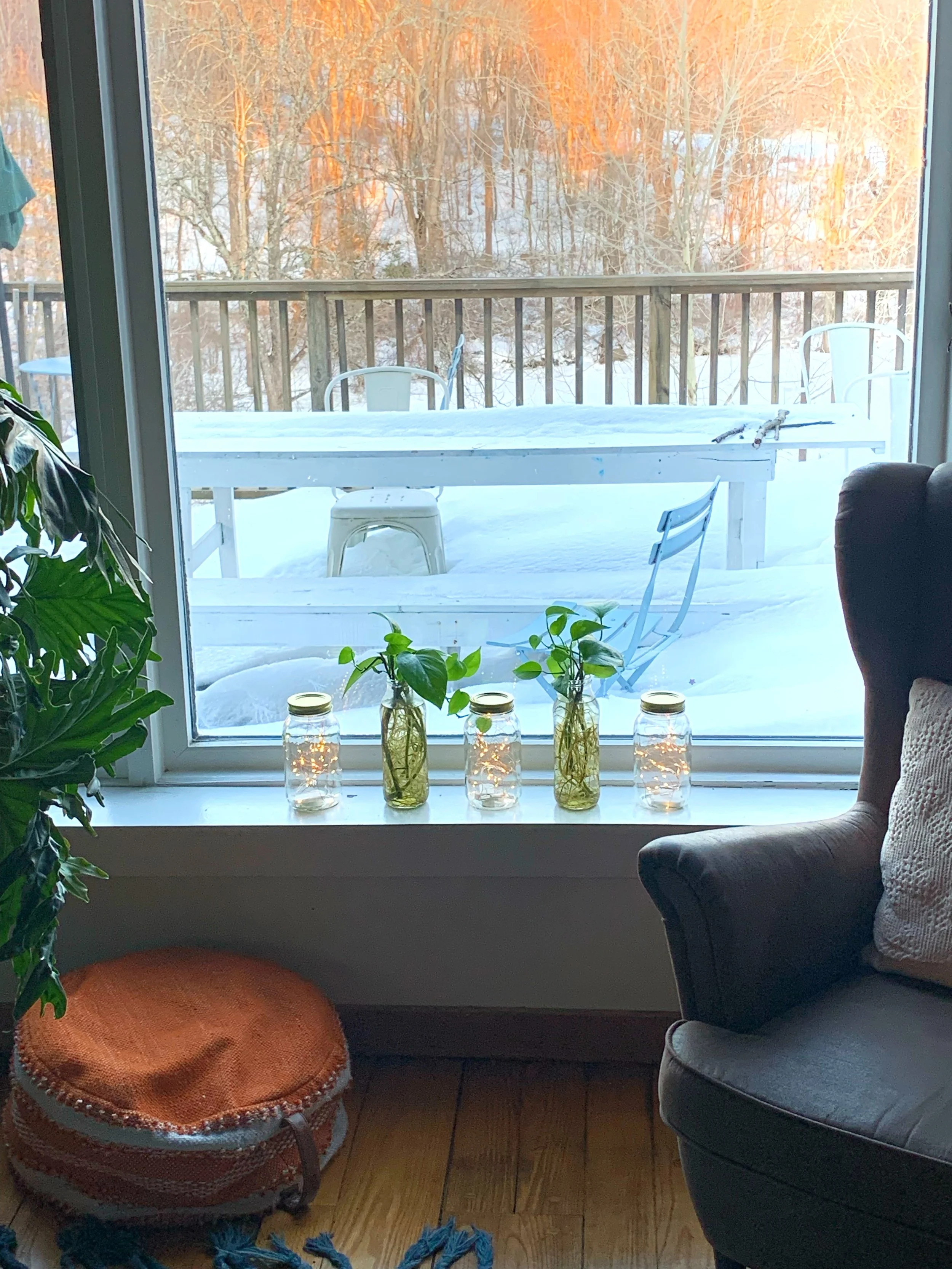 Photo Feb 27 2026, 5 15 08 PM.jpg