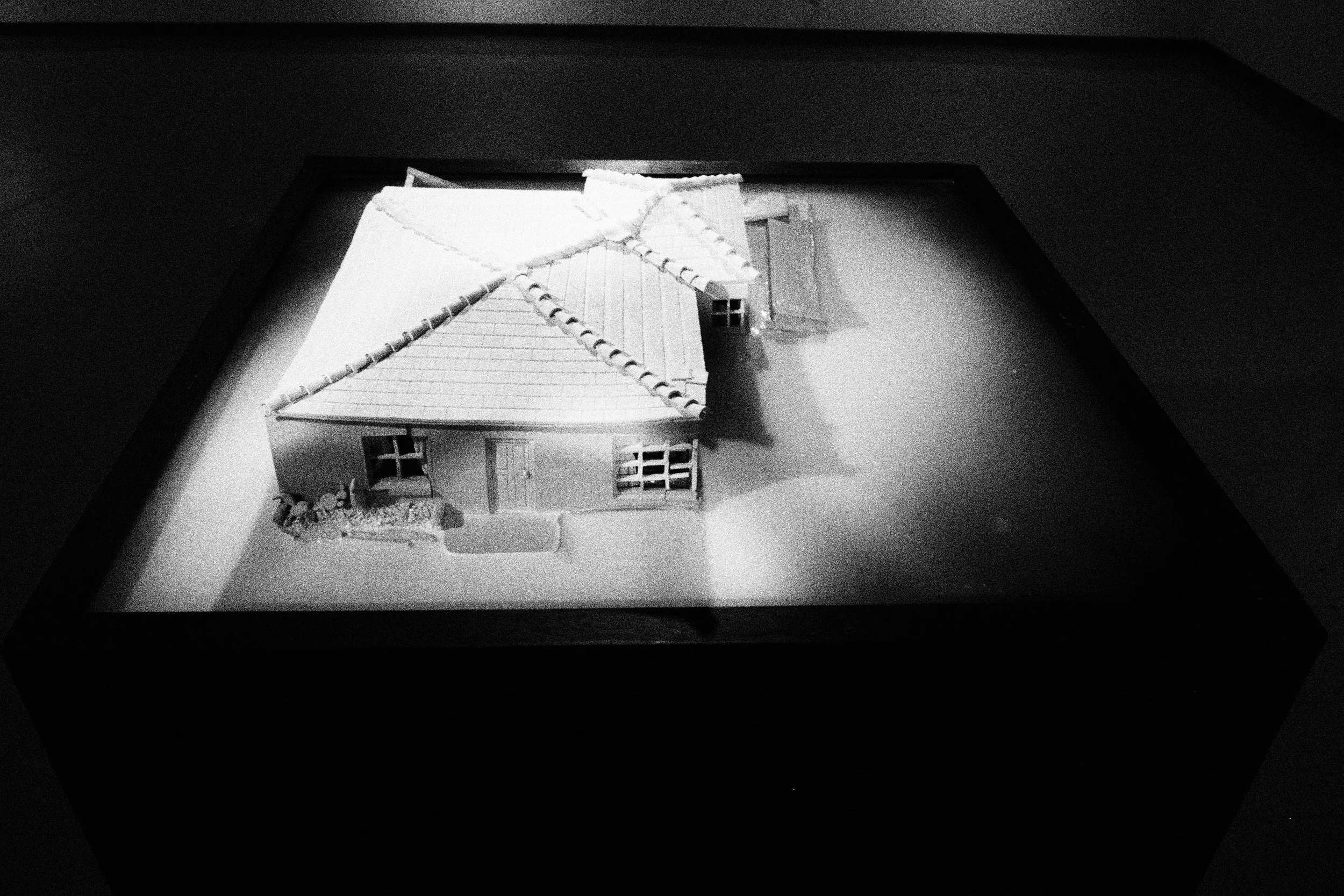 P1015903.jpg