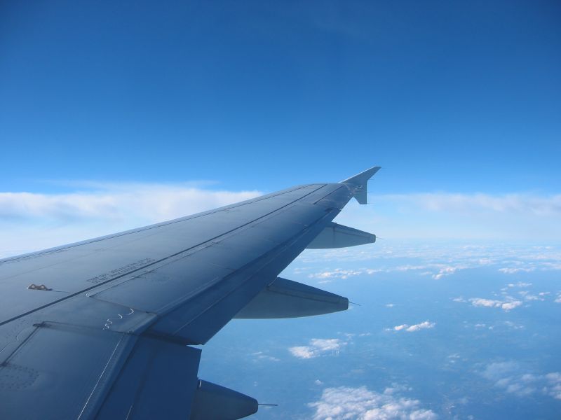 Week 20/5 Months Update