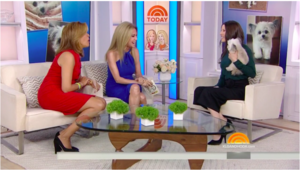 Today Show, October 2017