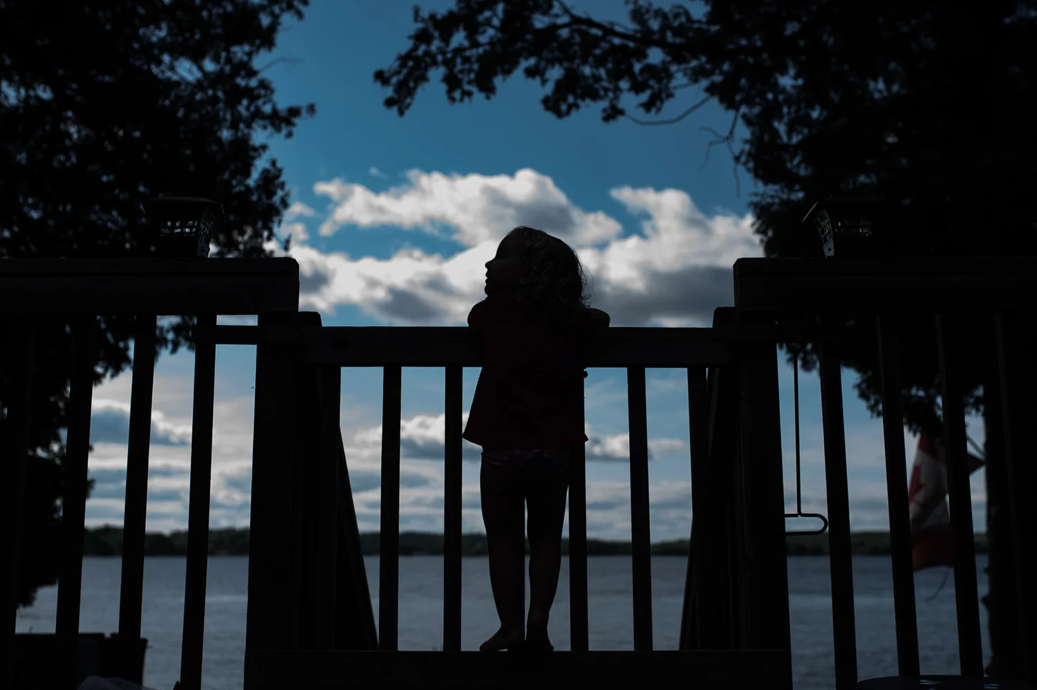 Toddler girl silhouetted against a gate framed by silhouetted trees and a bright blue sky with white fluffy clouds.