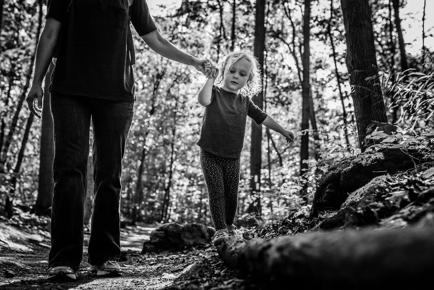 Black and white image of a toddler girl with curly hair holding the hand of her mum as she traverses walking along a fallen tree trunk.