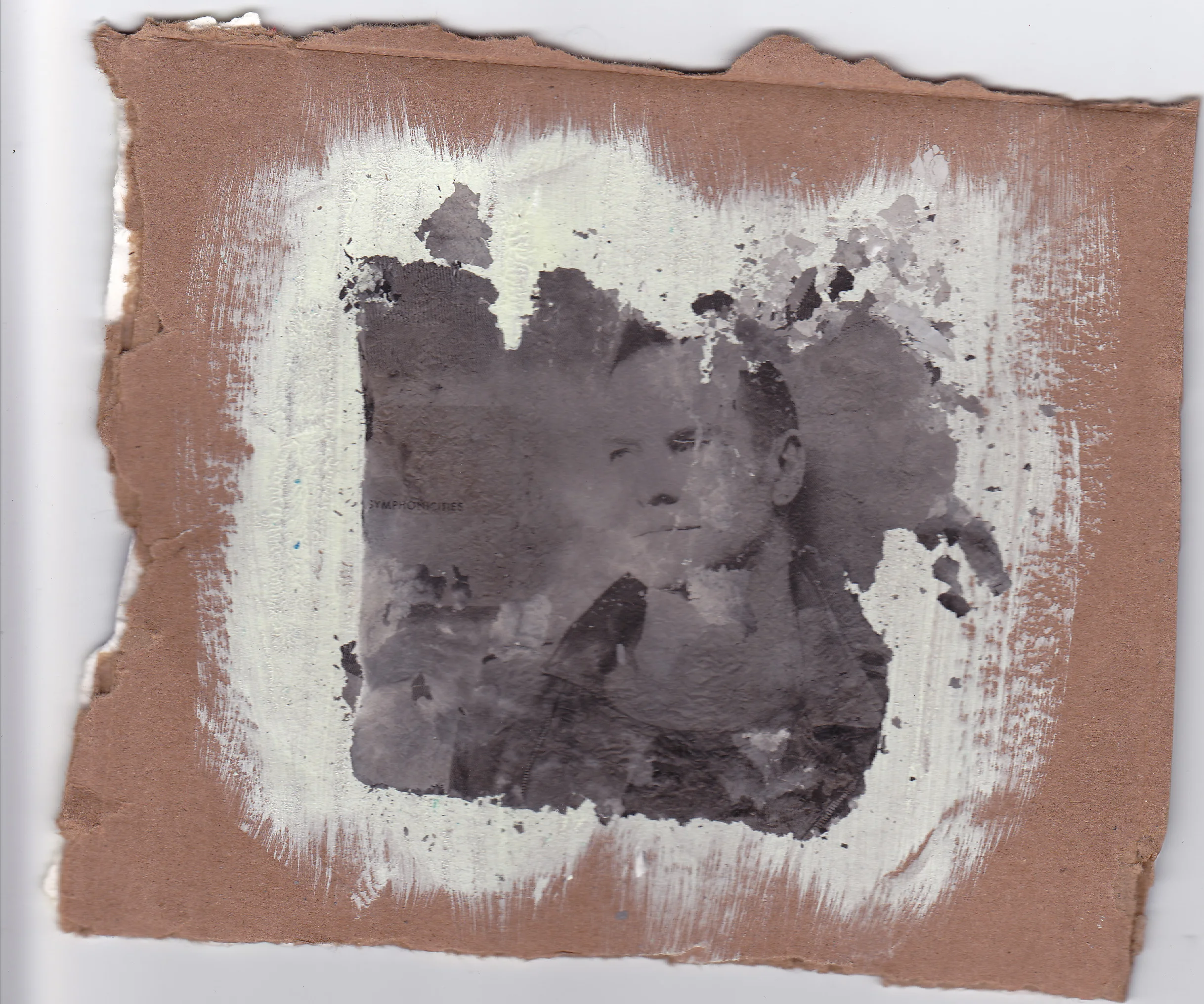 Sting, 2013 ash and gesso on cardboard