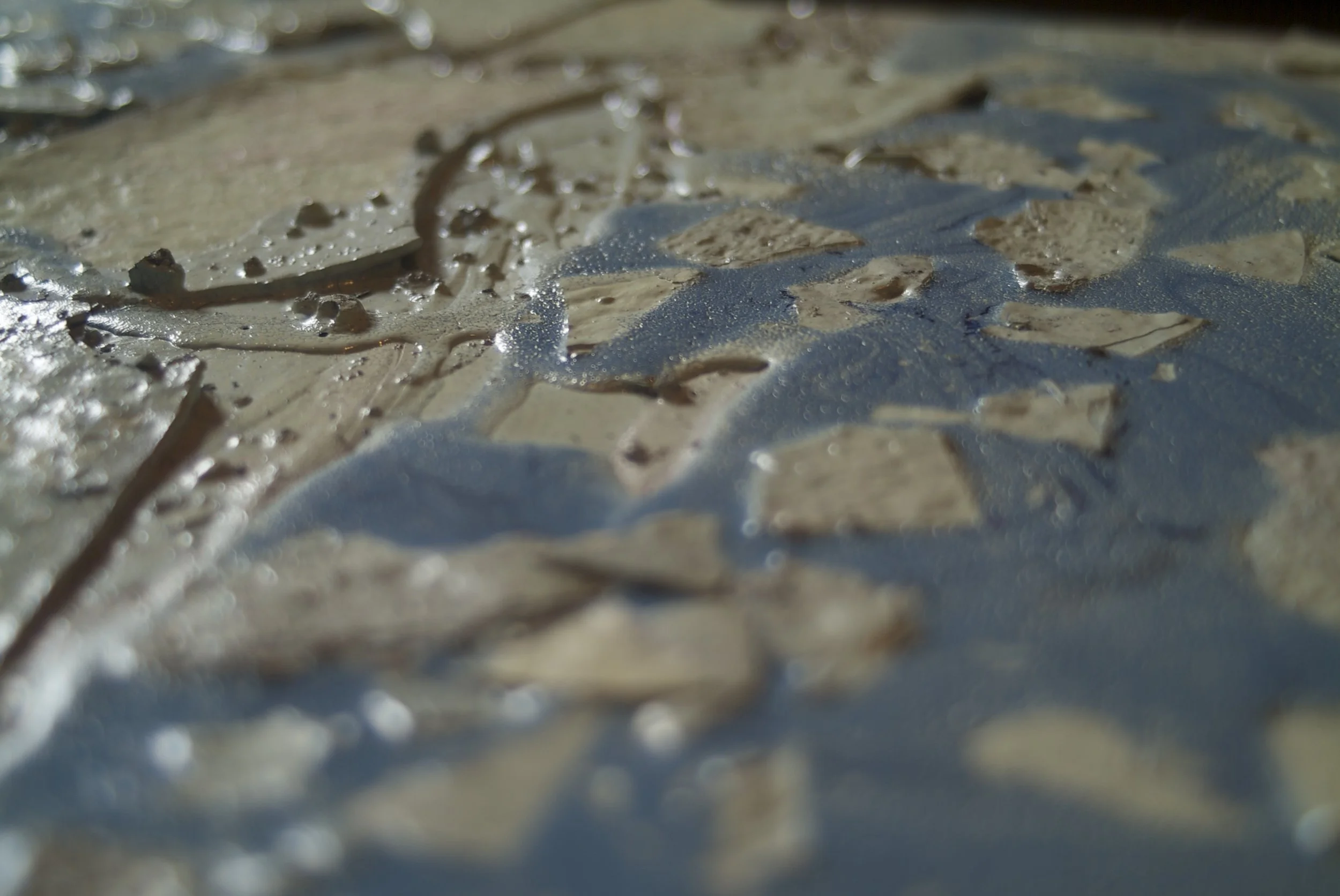 DSCF8906.jpg