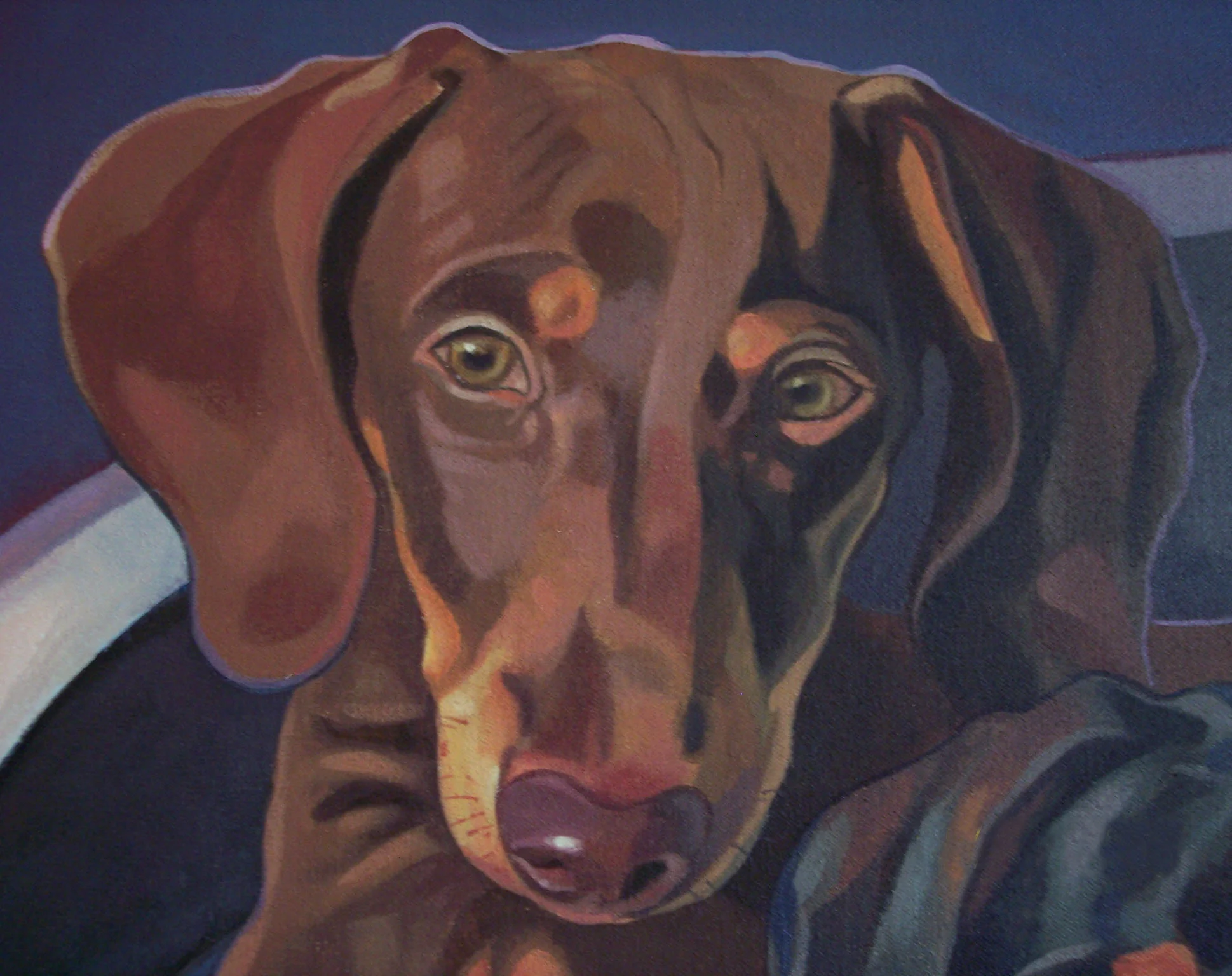 PetPortrait1.jpg