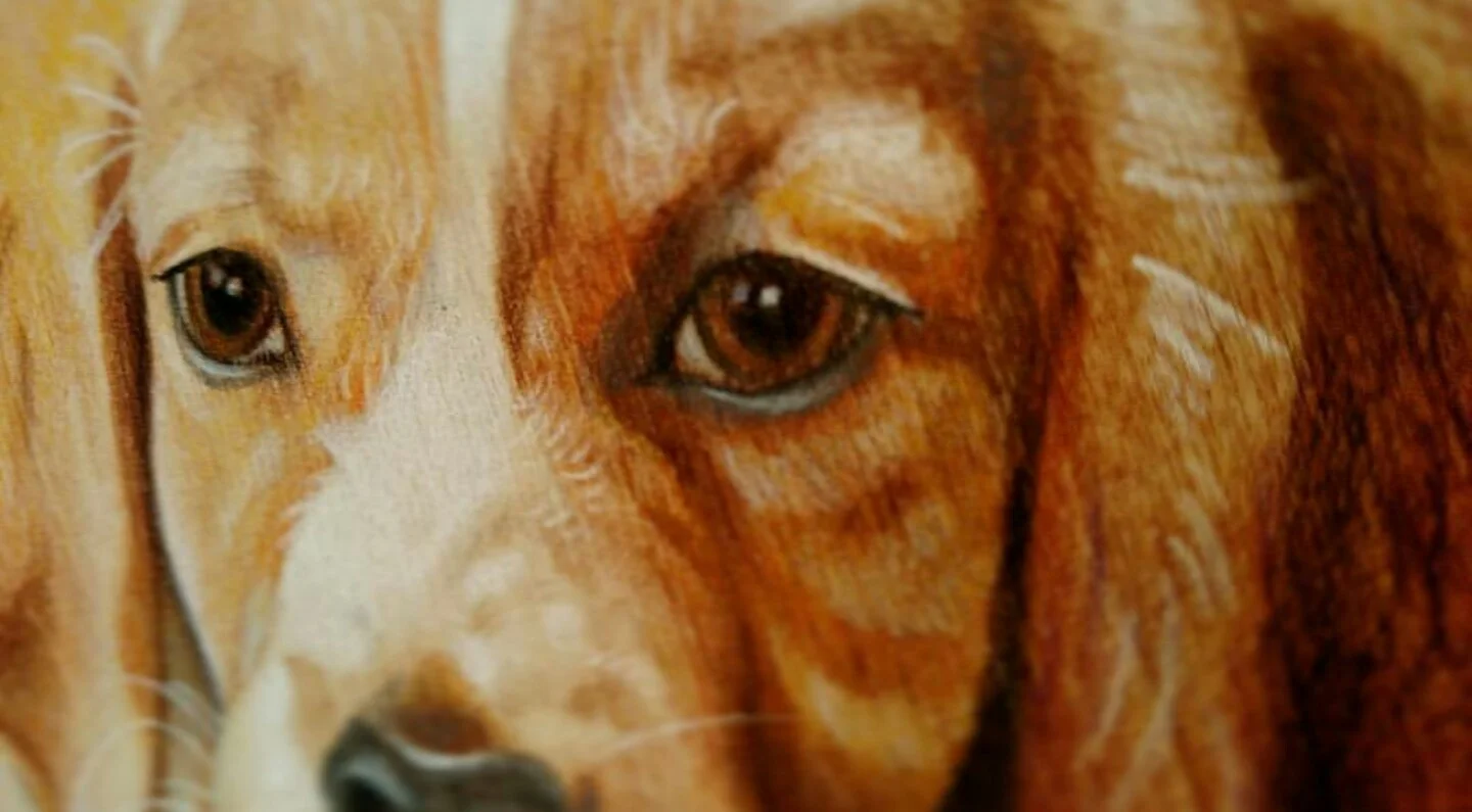puppy close up.jpg