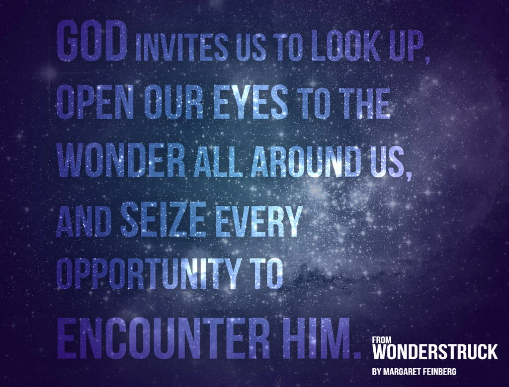 Learn to Live Wonderstruck