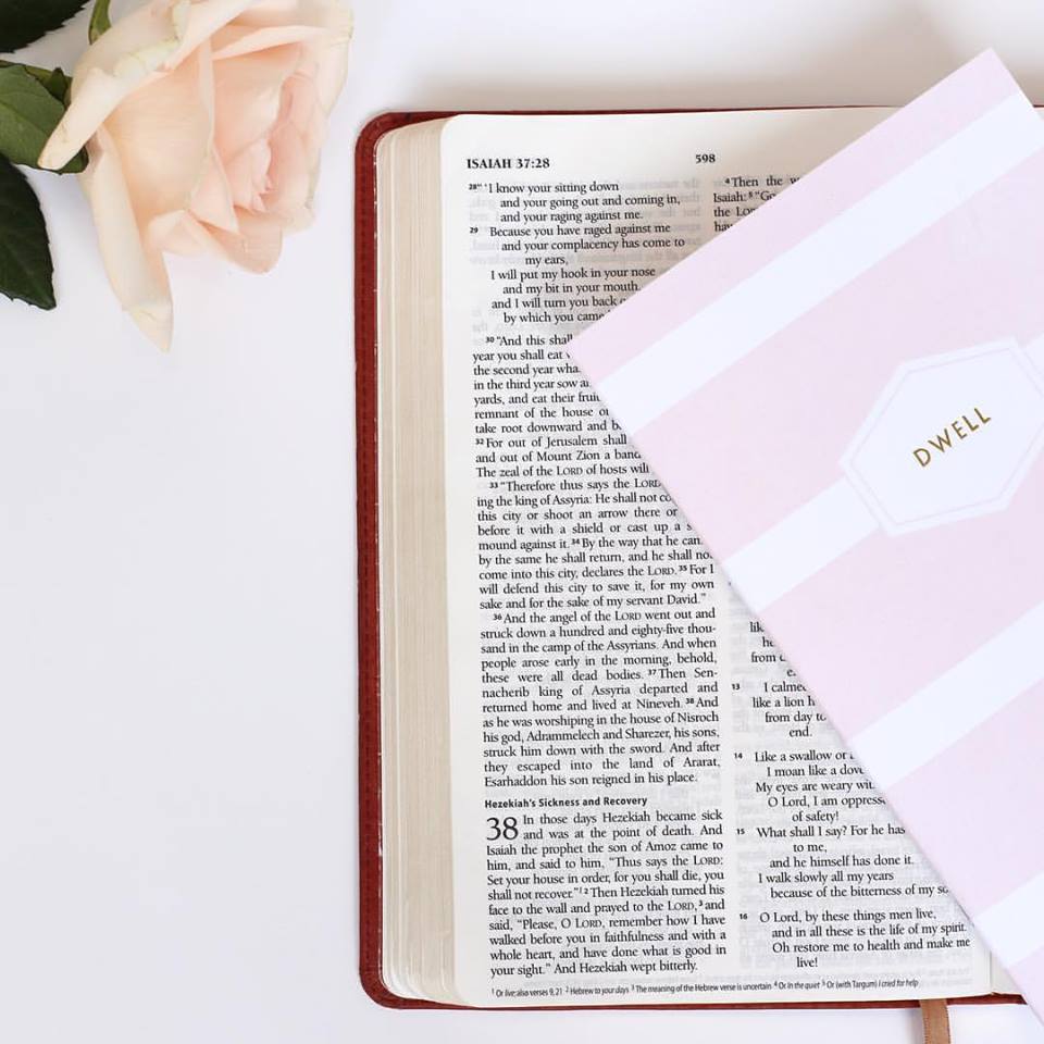 Dwell Journal - Pink Stripe