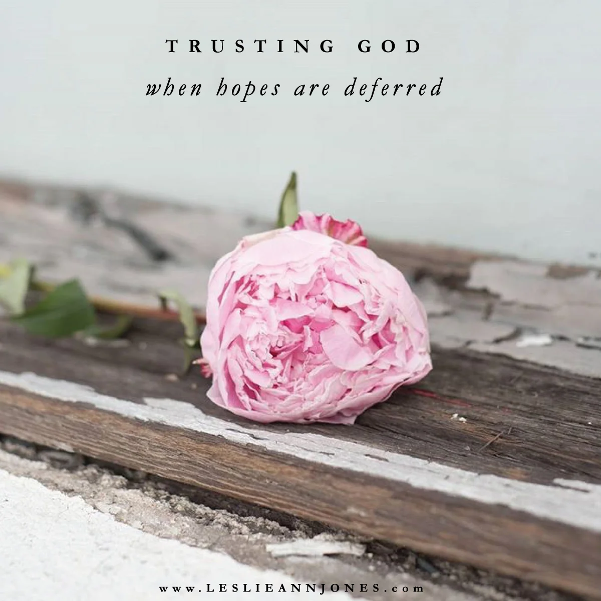 Trusting God When Hopes Are Deferred
