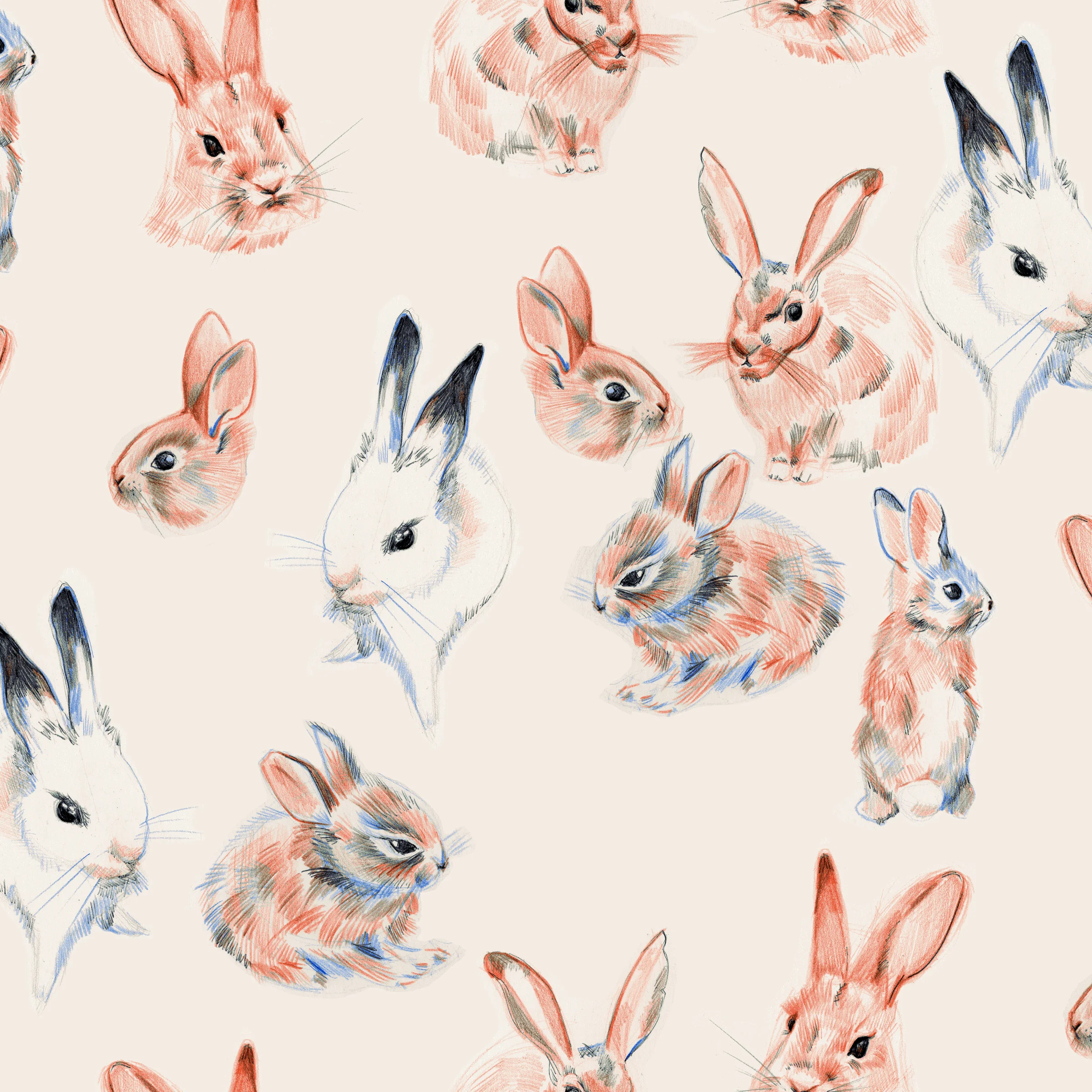 bunnies.jpg
