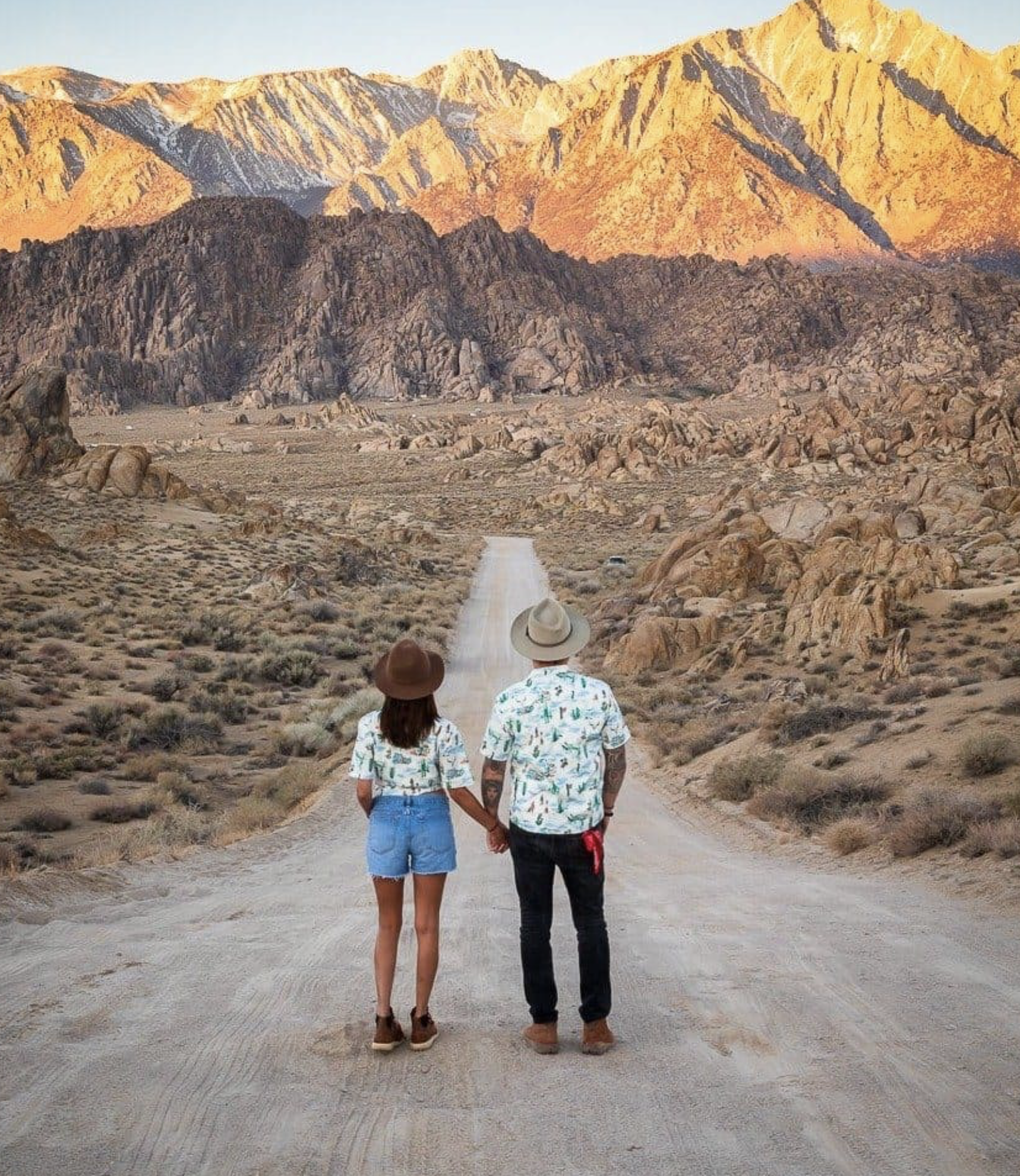CC_PALM SPRINGS.png