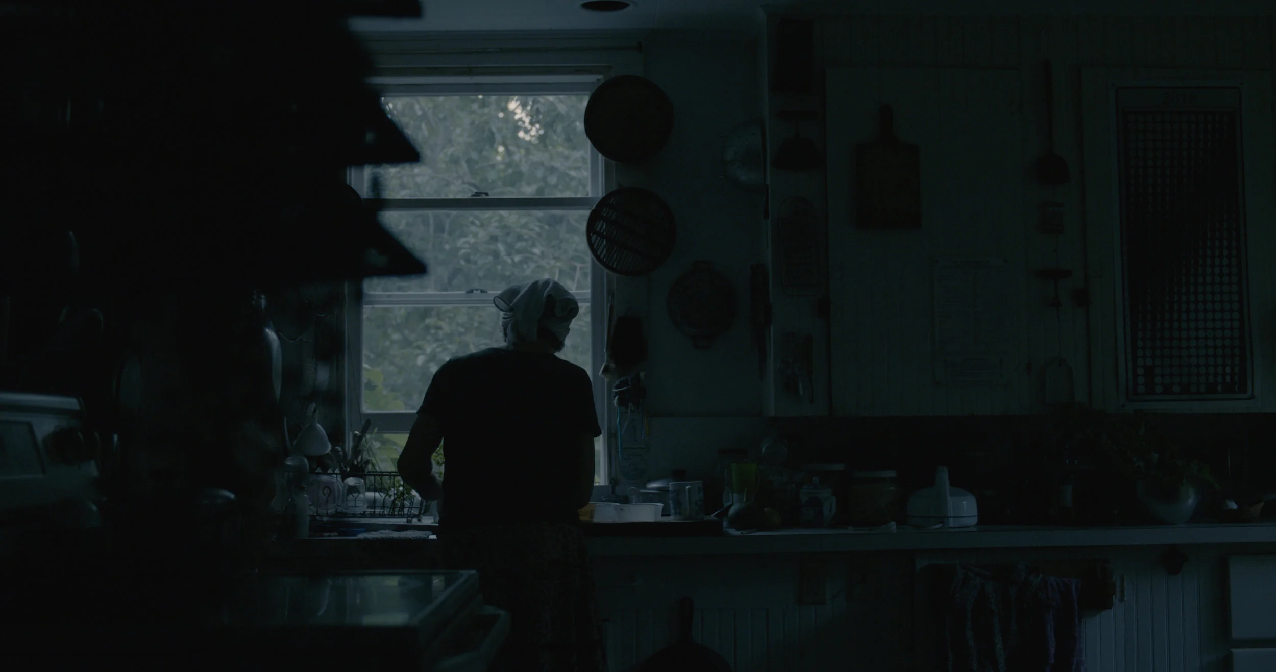 kitchen_fuji_minusblue.jpg