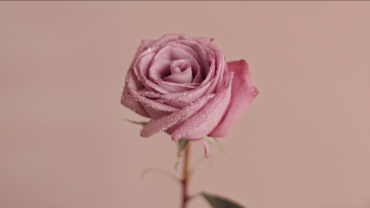 Screenshot 2018-08-27 18.51.49.png