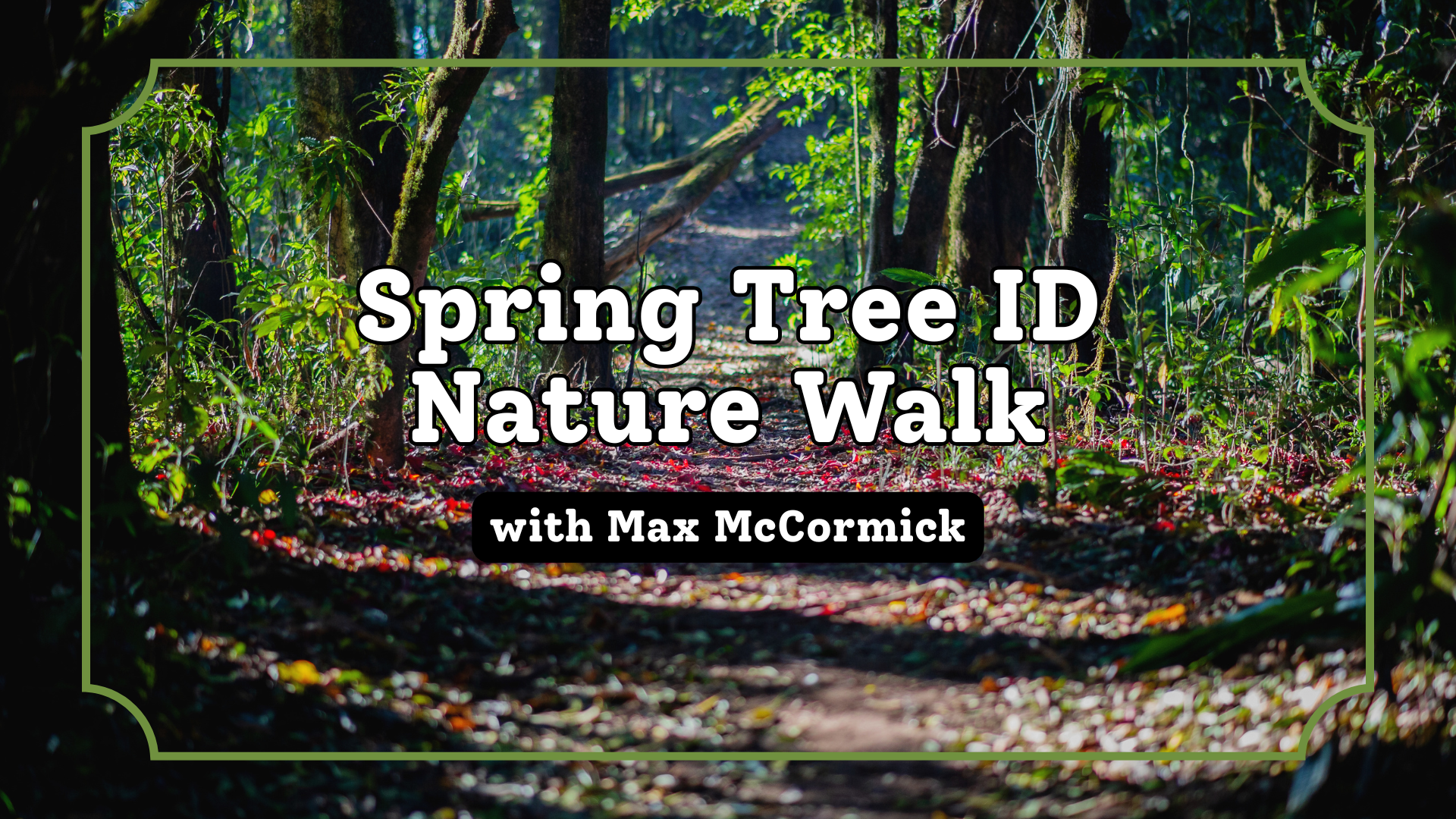 Wooden Shoe Hollow Spring Tree ID Walk