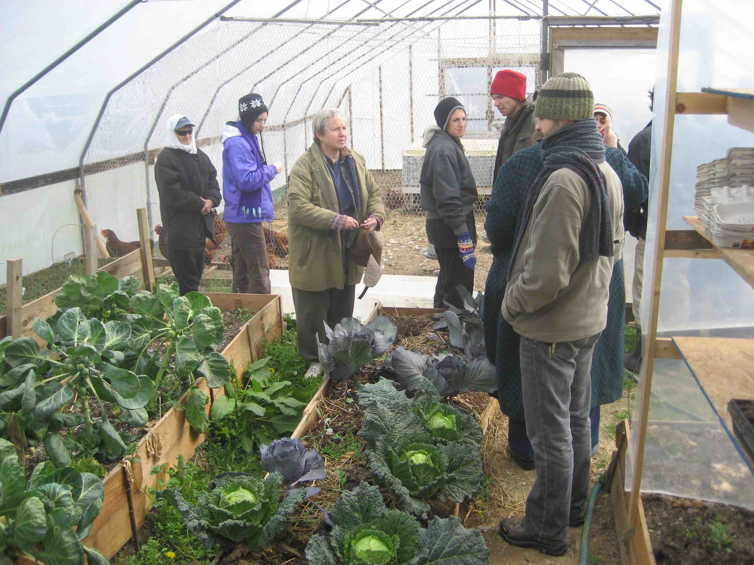 Students learning about Winter Crops at Greensleeves Farm