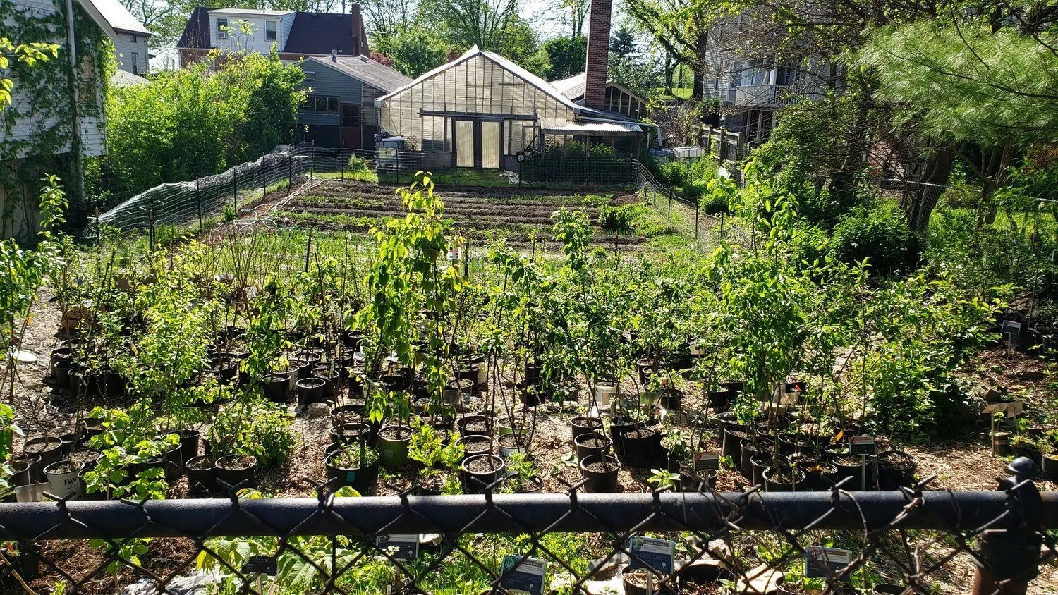 Members' Day at the Nursery!