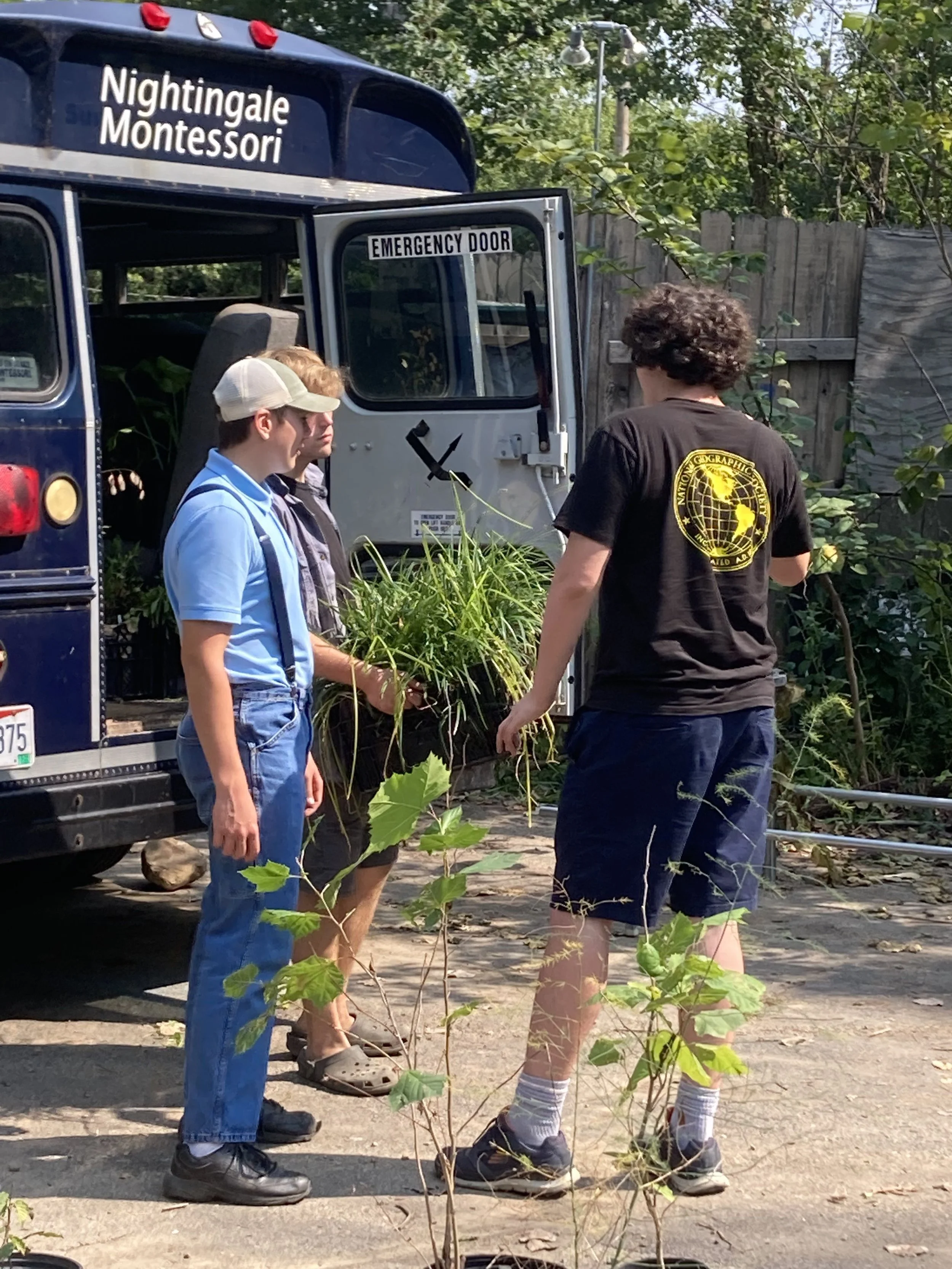 Untitled design 3.jpg