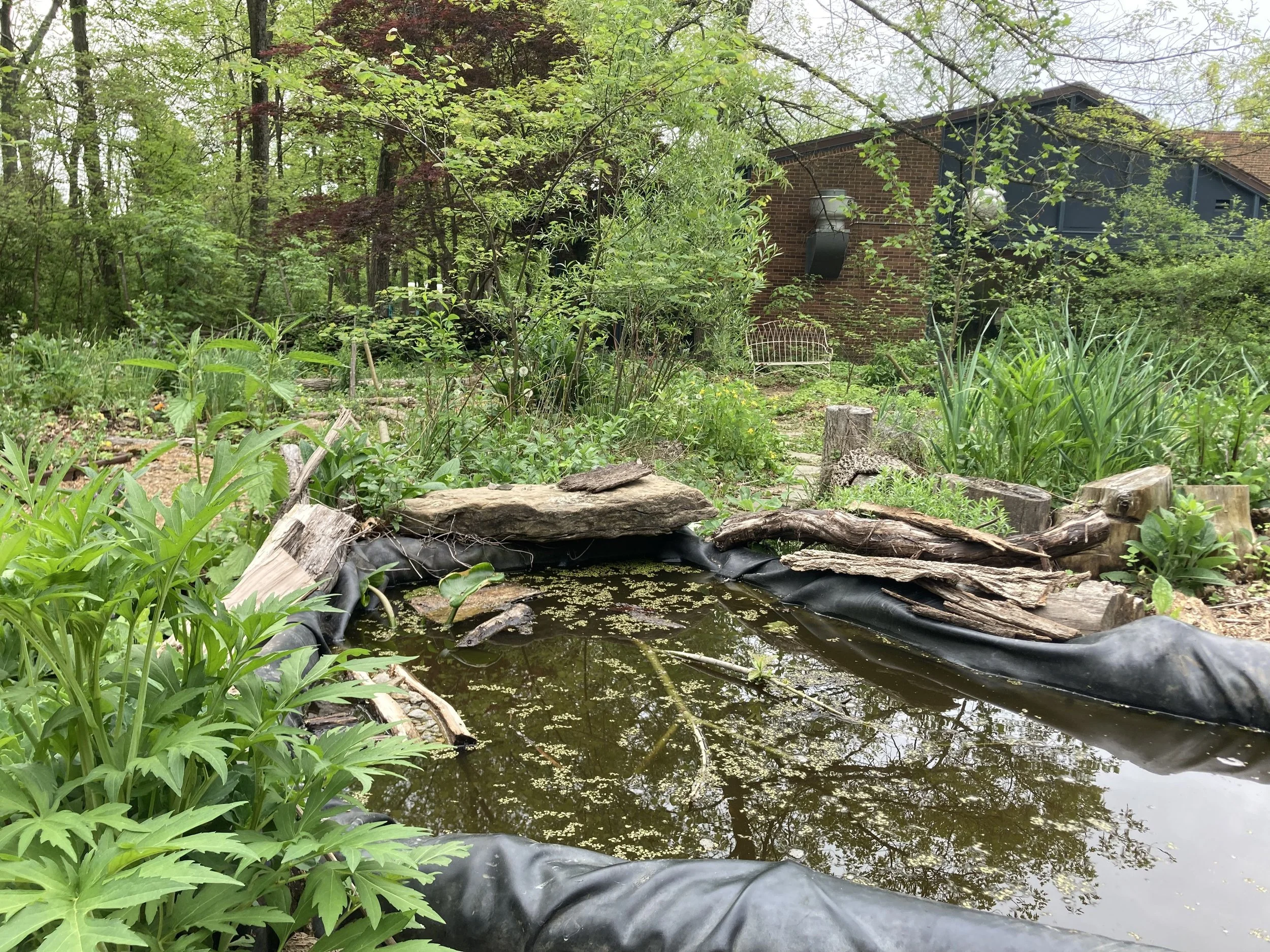 Untitled design 5.jpg