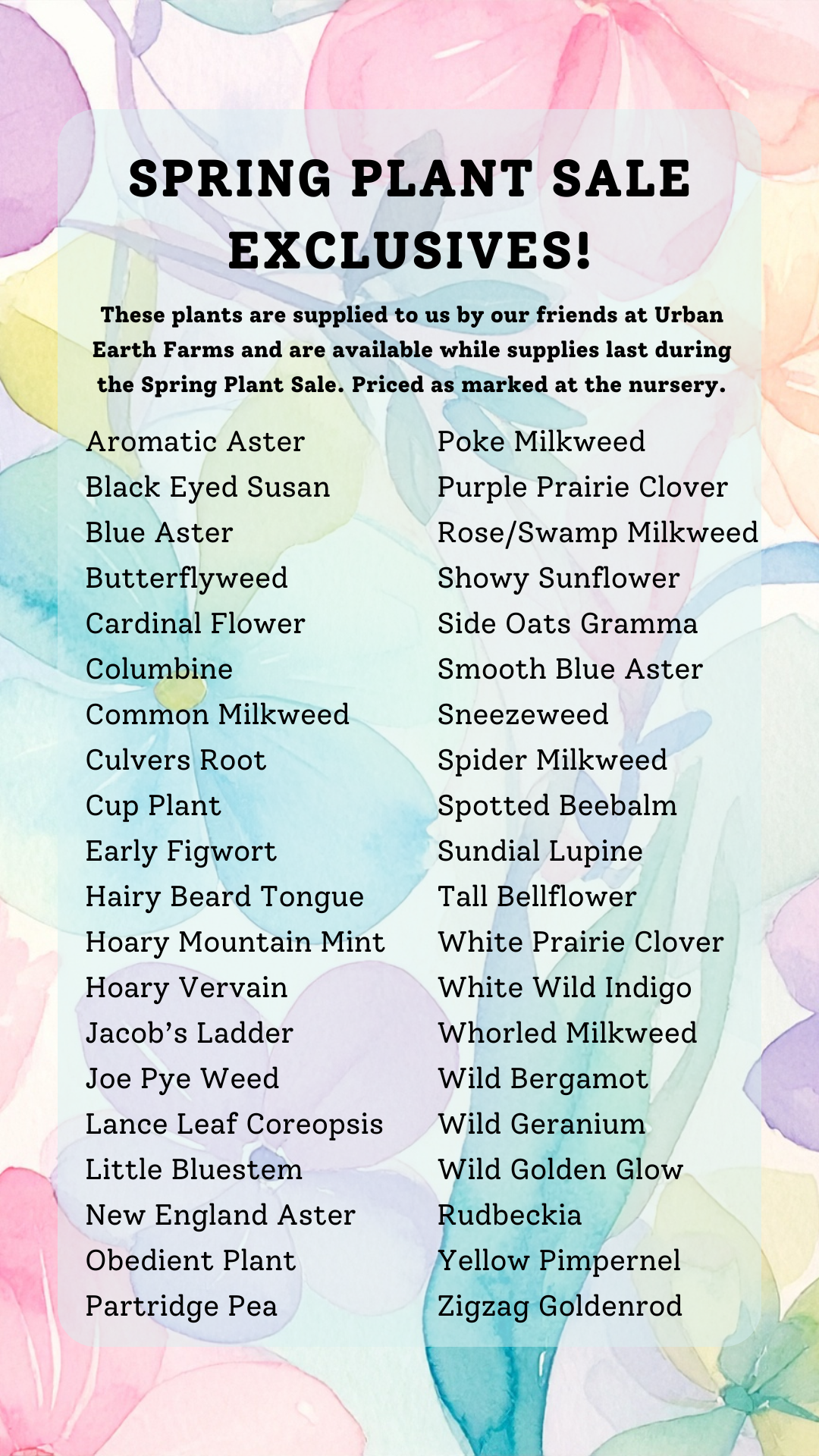 8 Spring Exclusives.png