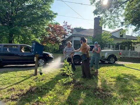 Food Forest Planting