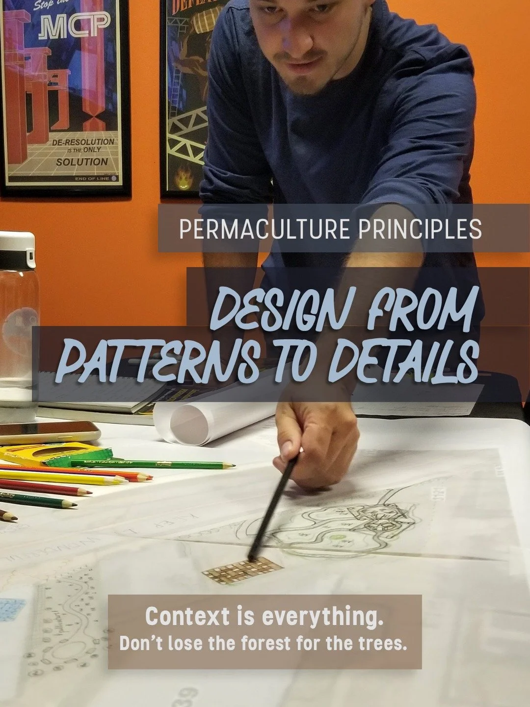 David Holmgren's Permaculture Principle #7: Design from Patterns to Details. 

This principle reminds us not to lose the forest when we're deciding on what trees to plant! Patterns are what help us predict how our designs will play out over time and 