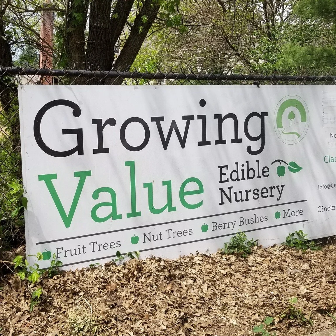 Growing Value Edible Nursery is open for walk-in shopping on Saturday mornings after Labor Day, 9 AM to 12 PM, through October 3. European pears, Apples, Sweet and tart cherries, Herbs, Heartnut, and Hazelnut for sale. Plus pawpaws, spicebush and mor