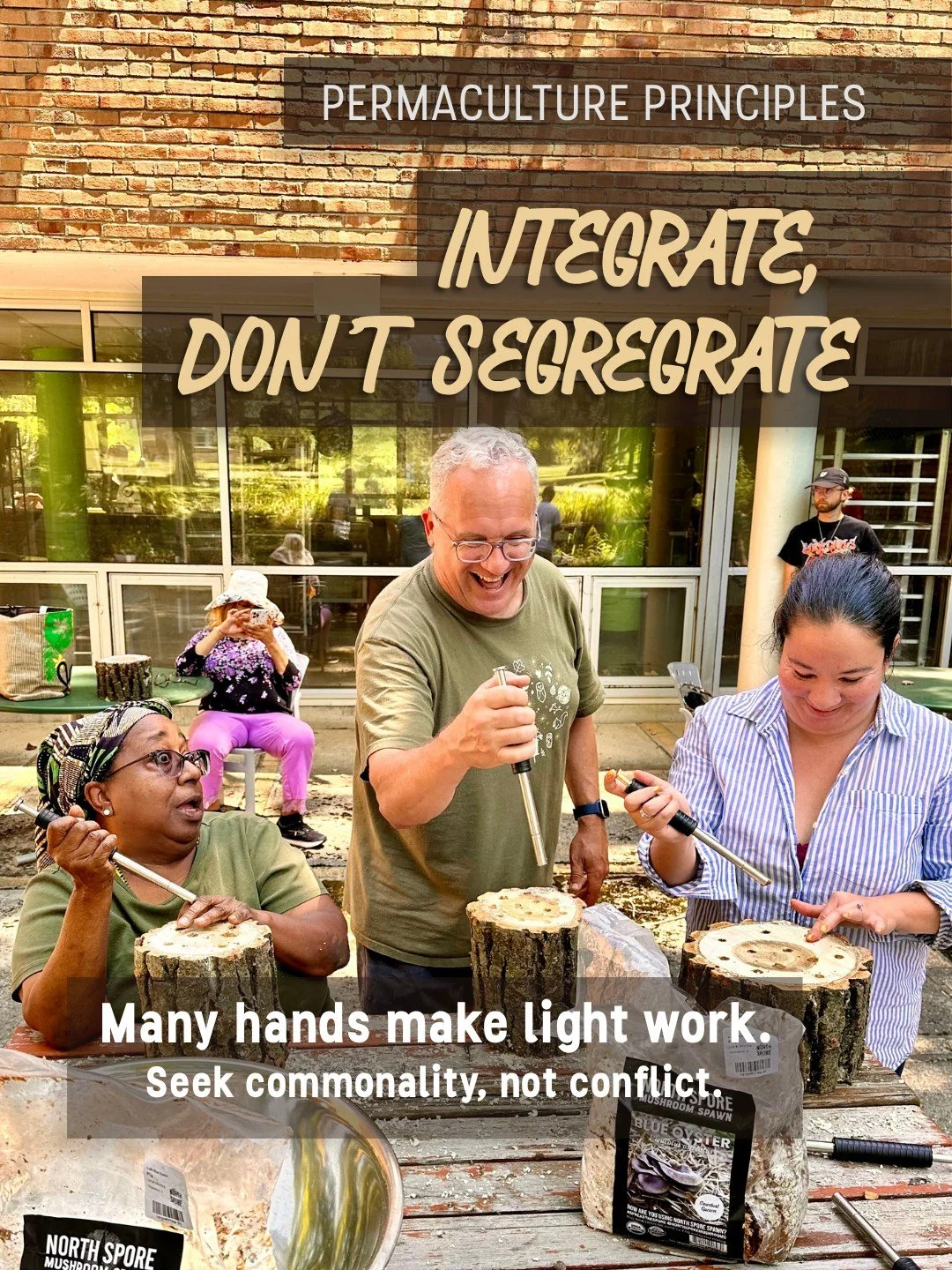 David Holmgren's Permaculture Principle #8: Integrate Rather than Segregate. 

This principle reminds us that the elements and functions of a system work better when they're working together, not in isolation. Efficiencies can be found in the overlap
