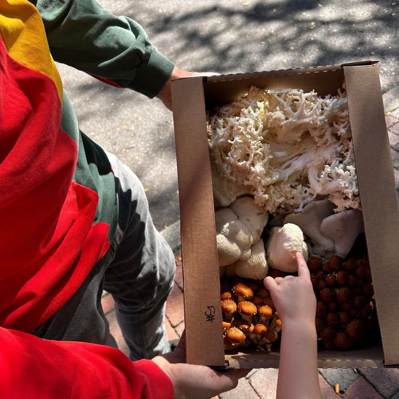 Oooo 🤤 @jonah.snyder picked up ingredients today for his Mushroom Nuggets from @richlifefarm in preparation for the @Homecoming Block Party: Corner Commons Launch! 
What else is on the menu? How about... potato pumpkin tartlets... sourdough bruschet