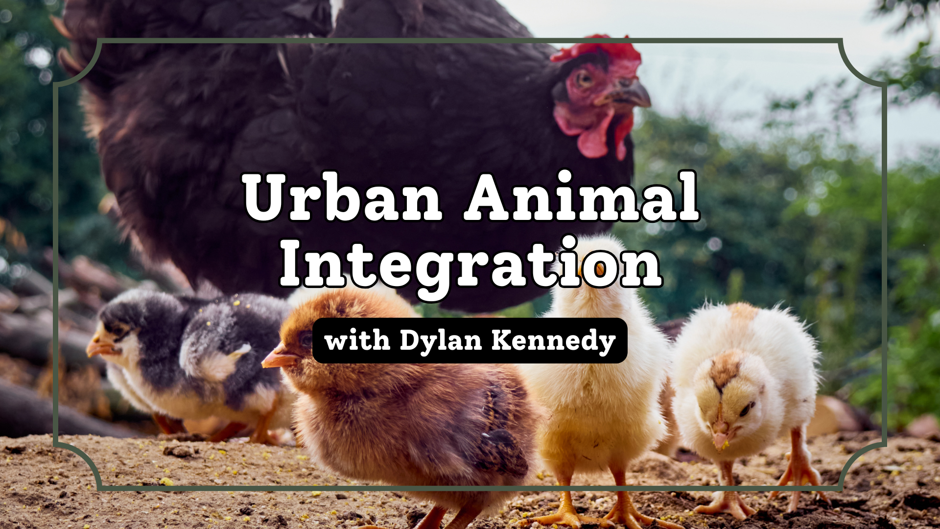 Livestock in the City: Urban Animal Integration w/ Dylan Kennedy