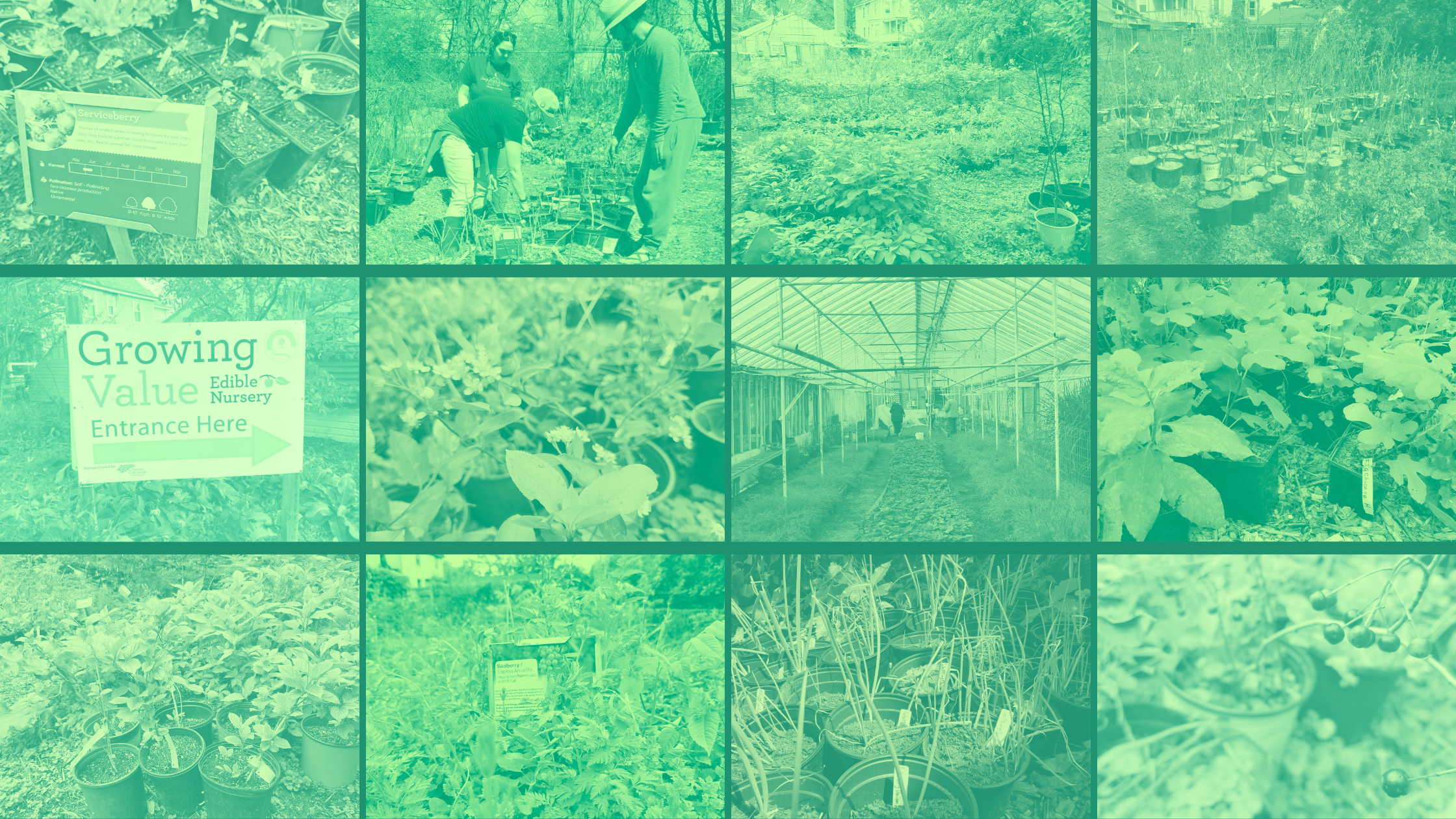 Nursery Grid Banner.png