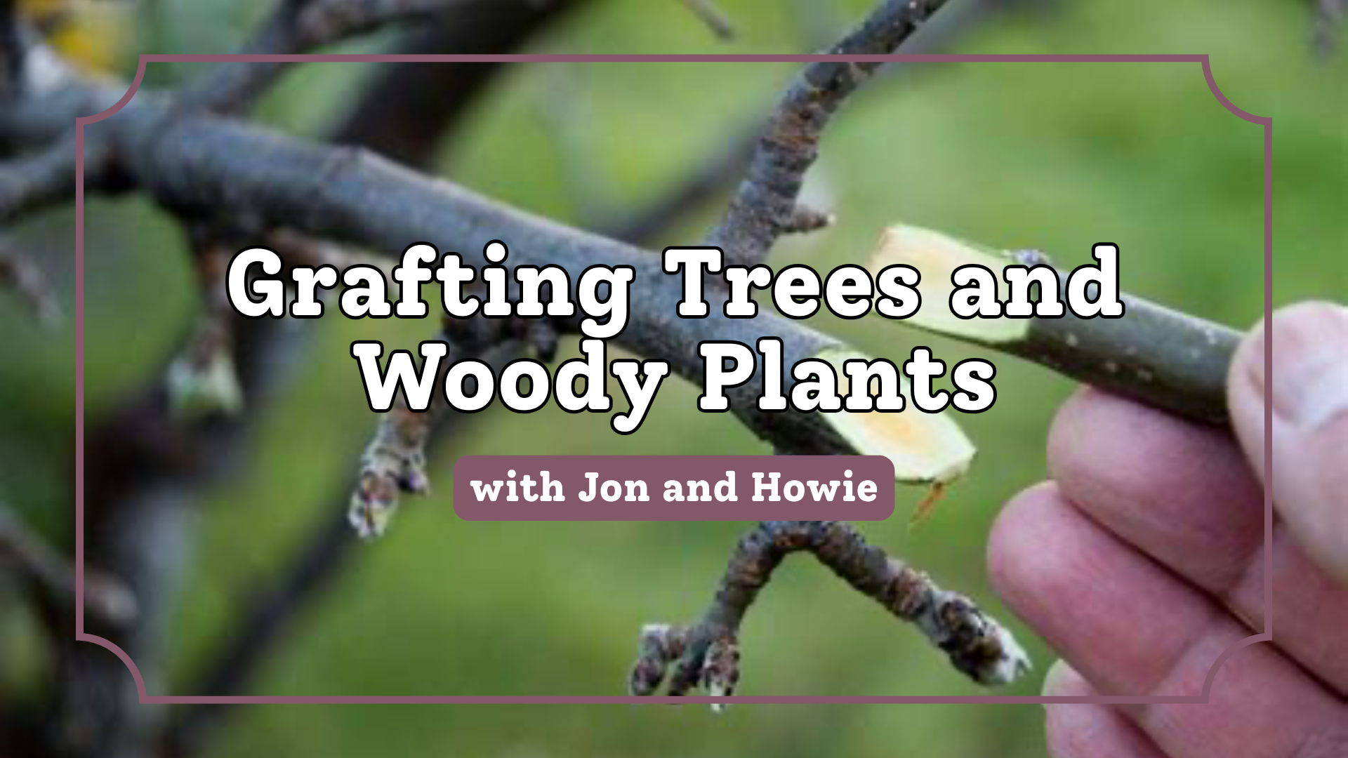 Grafting Trees &amp; Woody Plants: Workshop