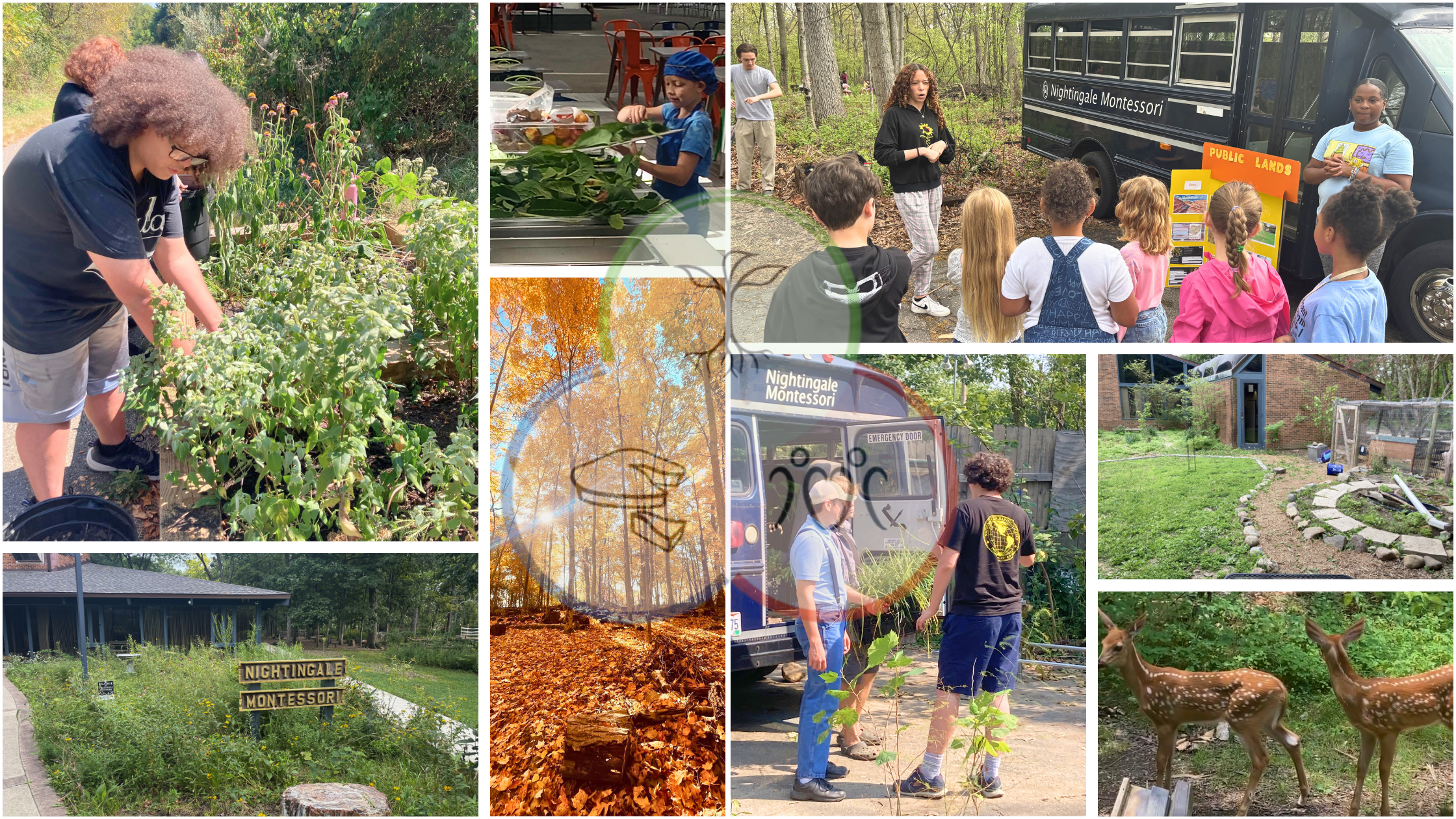 Nightingale Banner - Grid.png