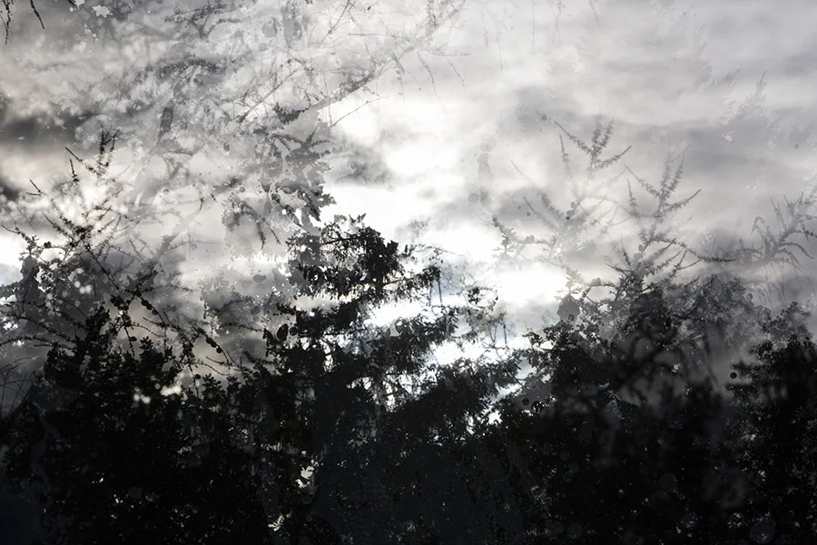 LumièreEncreOctobre-0235w.jpg