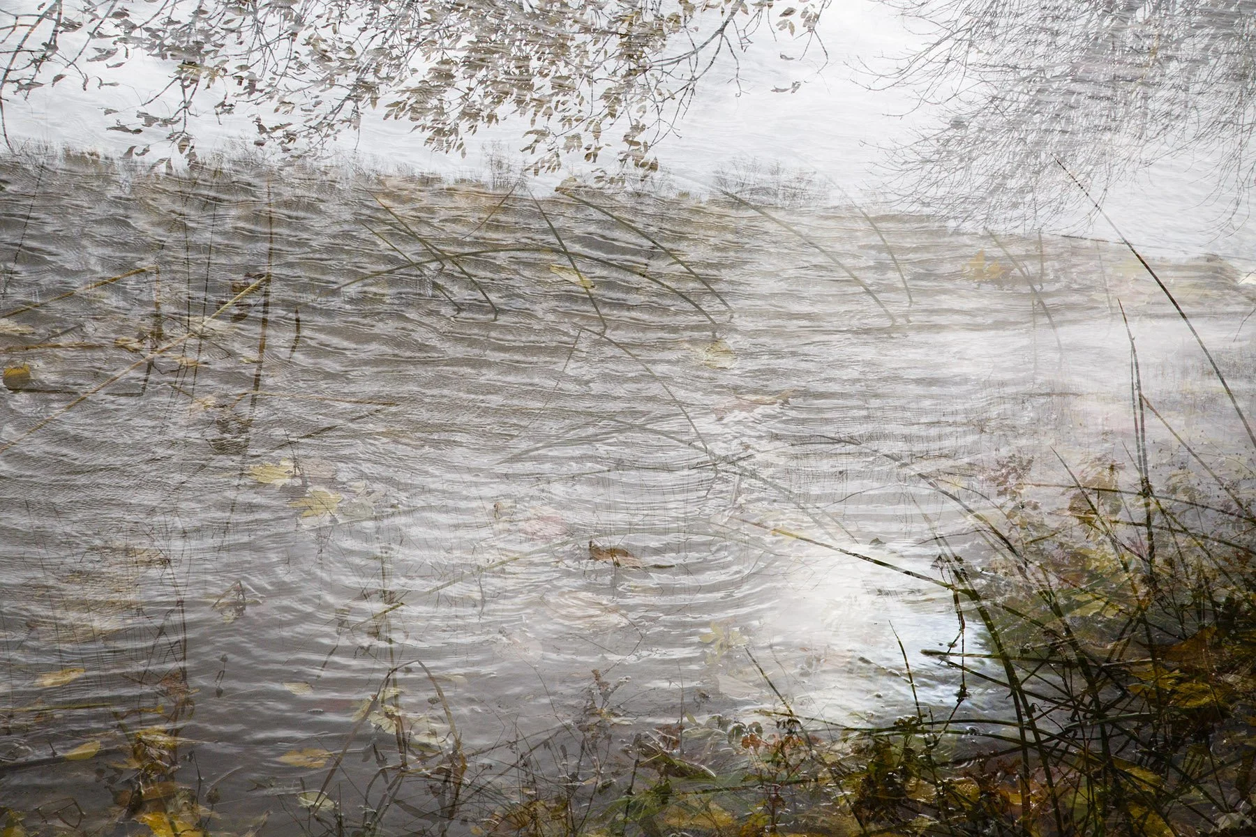 _K6A6637automne+70e5500k2w.jpg