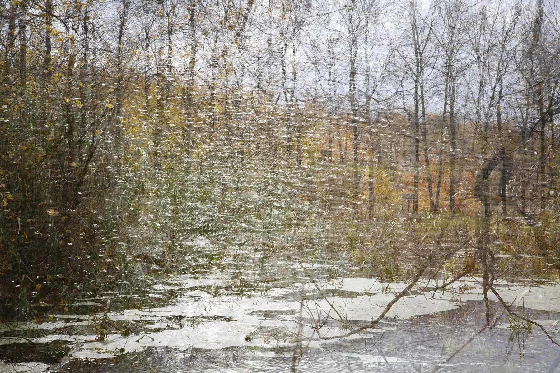 _K6A6645automne-20ePlatw2.jpg