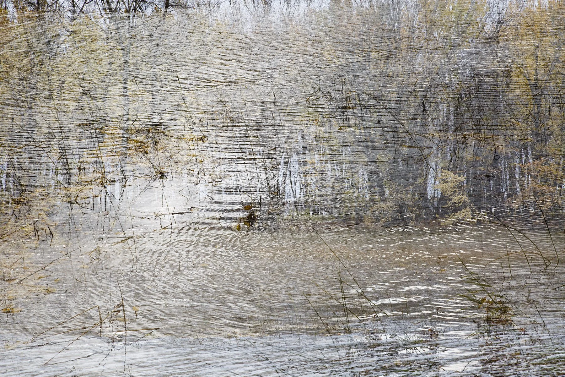 Automne+20e+29c-20O-35N-6620w.jpg